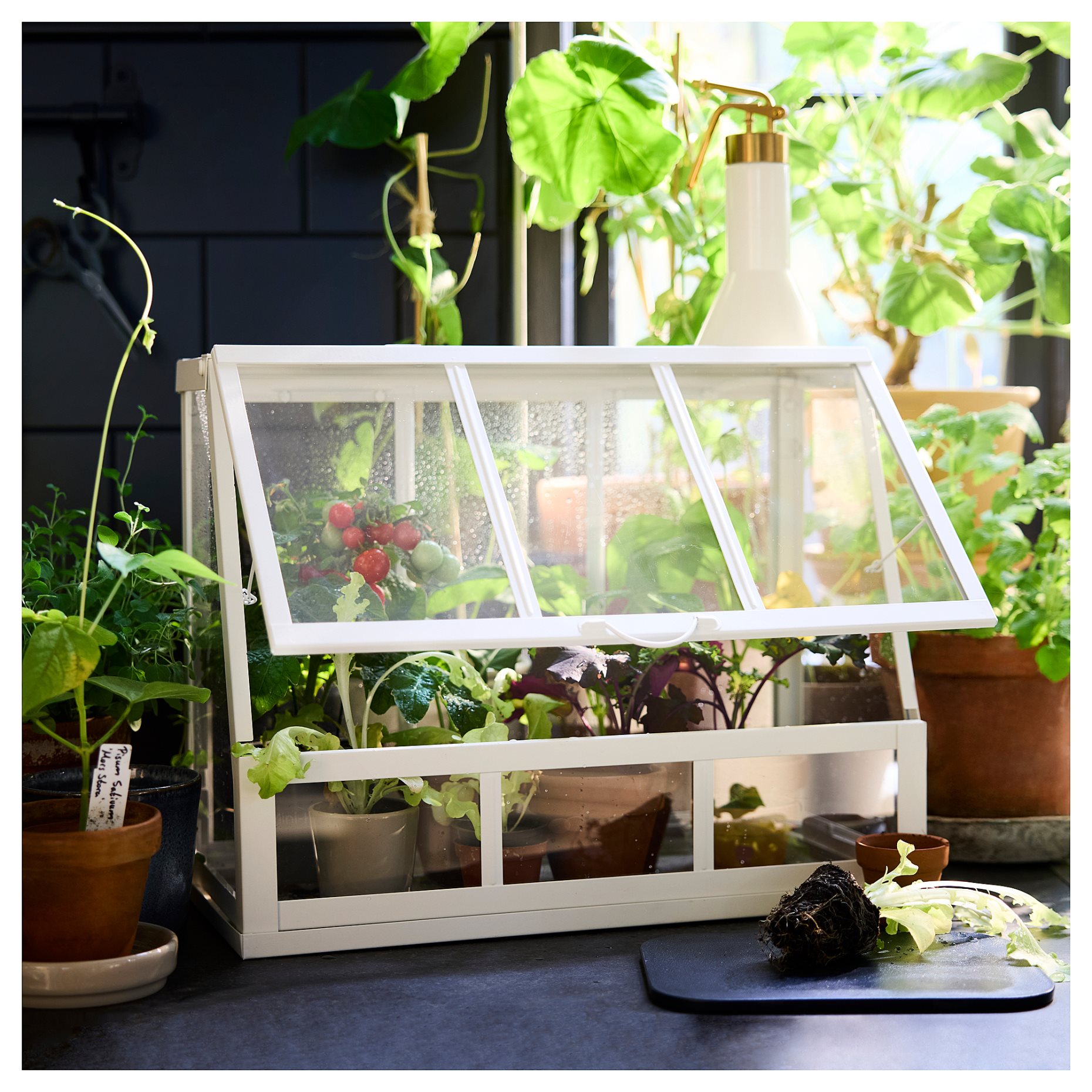 ÅKERBÄR, greenhouse/in/outdoor, 45 cm, 305.371.70