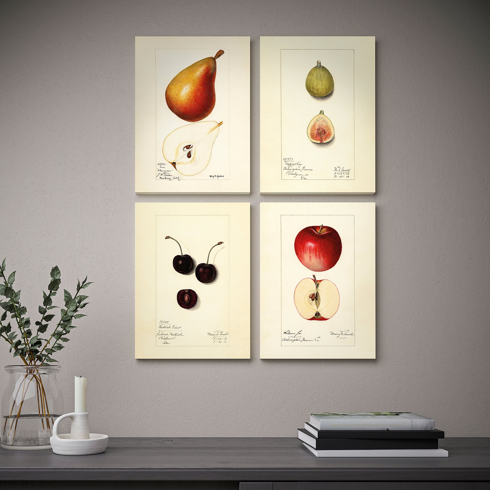 PJÄTTERYD, picture/Vintage drawings/4 pack, 28x38 cm, 405.600.61