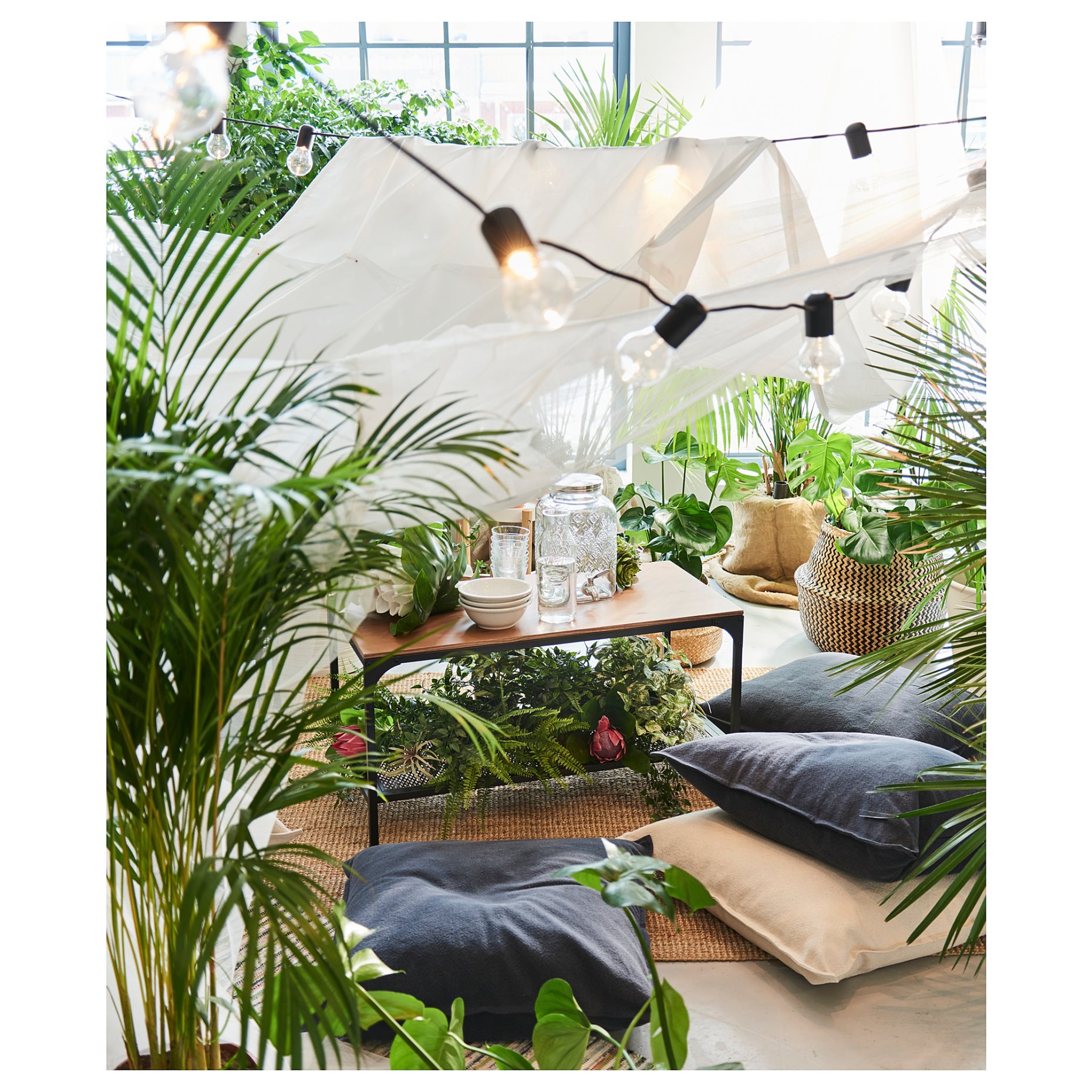 DYPSIS, potted plant, Areca palm, 468.040.05