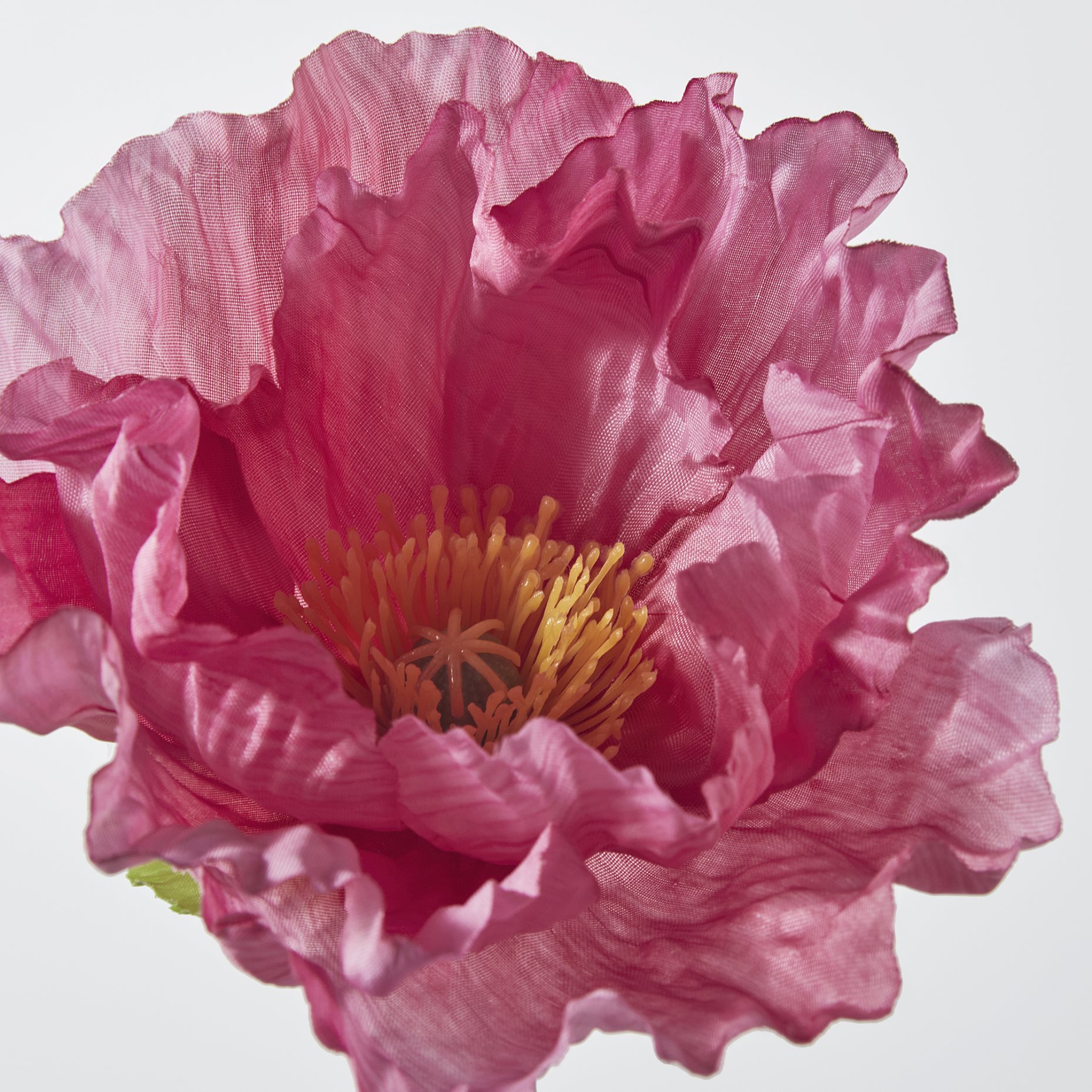 SMYCKA, artificial flower in/outdoor/Poppy, 55 cm, 605.932.87