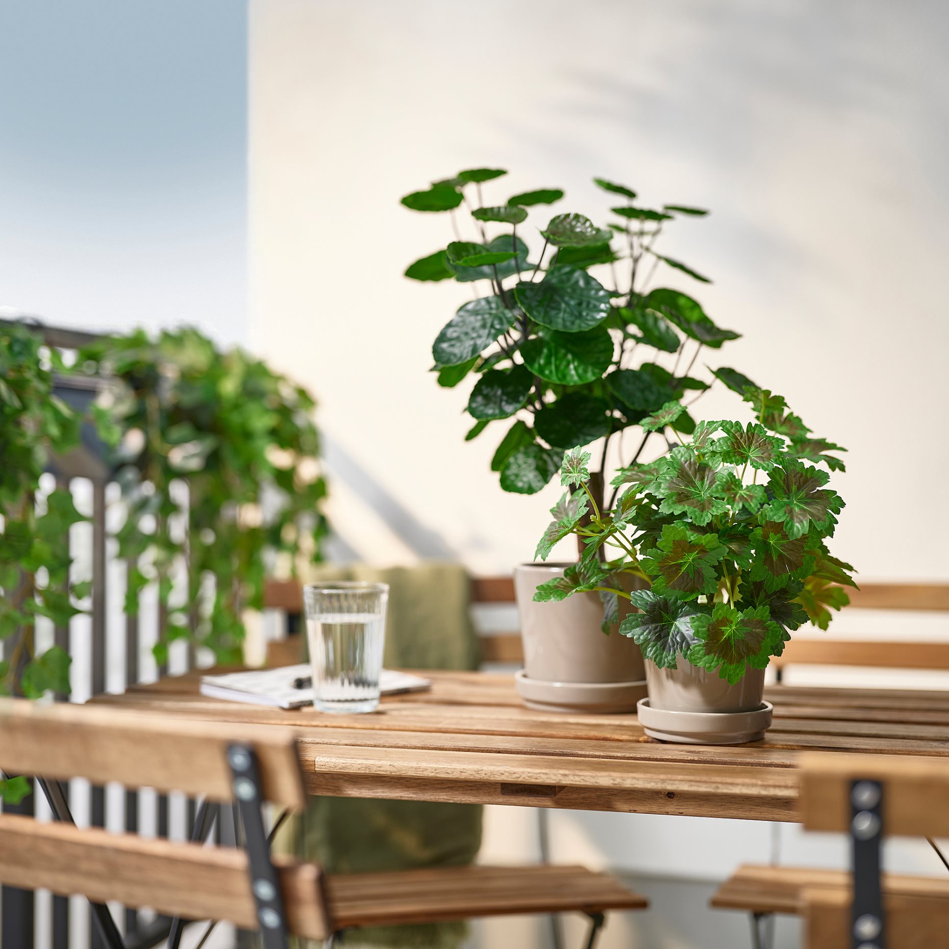 FEJKA, artificial potted plant in/outdoor/Aralia, 12 cm, 606.008.53