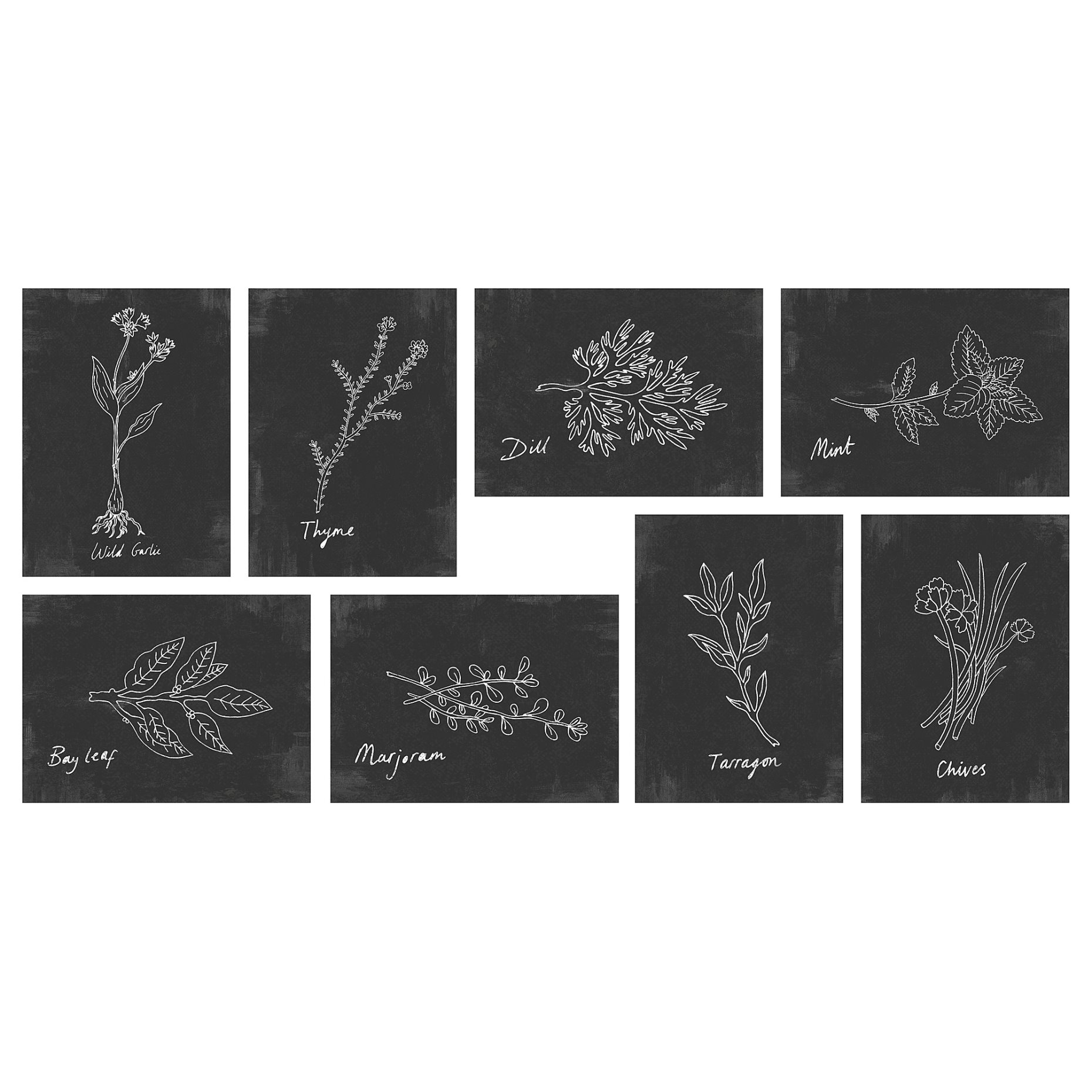 VÄXBO, art card/wild herbs/8 pack, 13x18 cm, 606.024.04