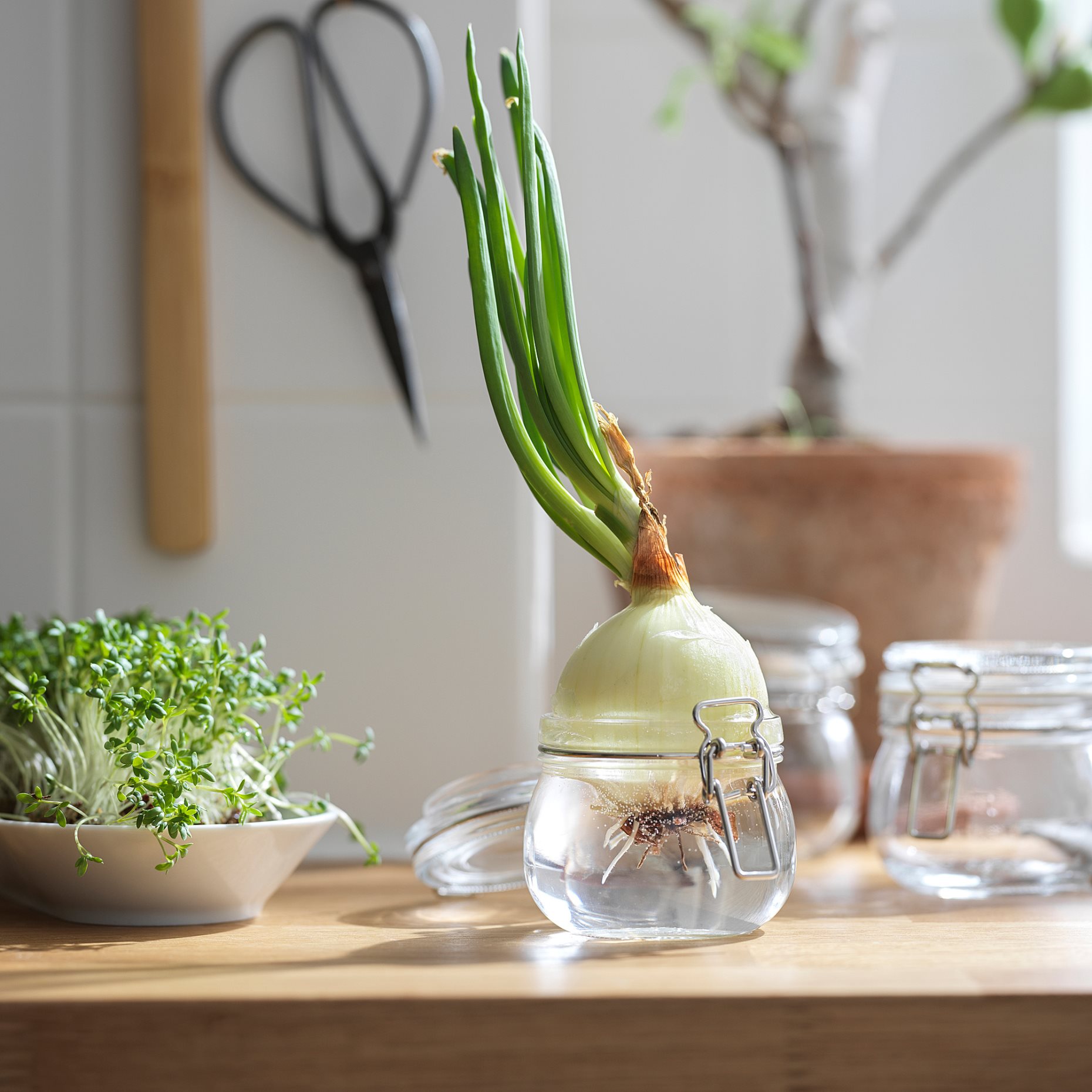 KORKEN, jar with lid, 702.135.45