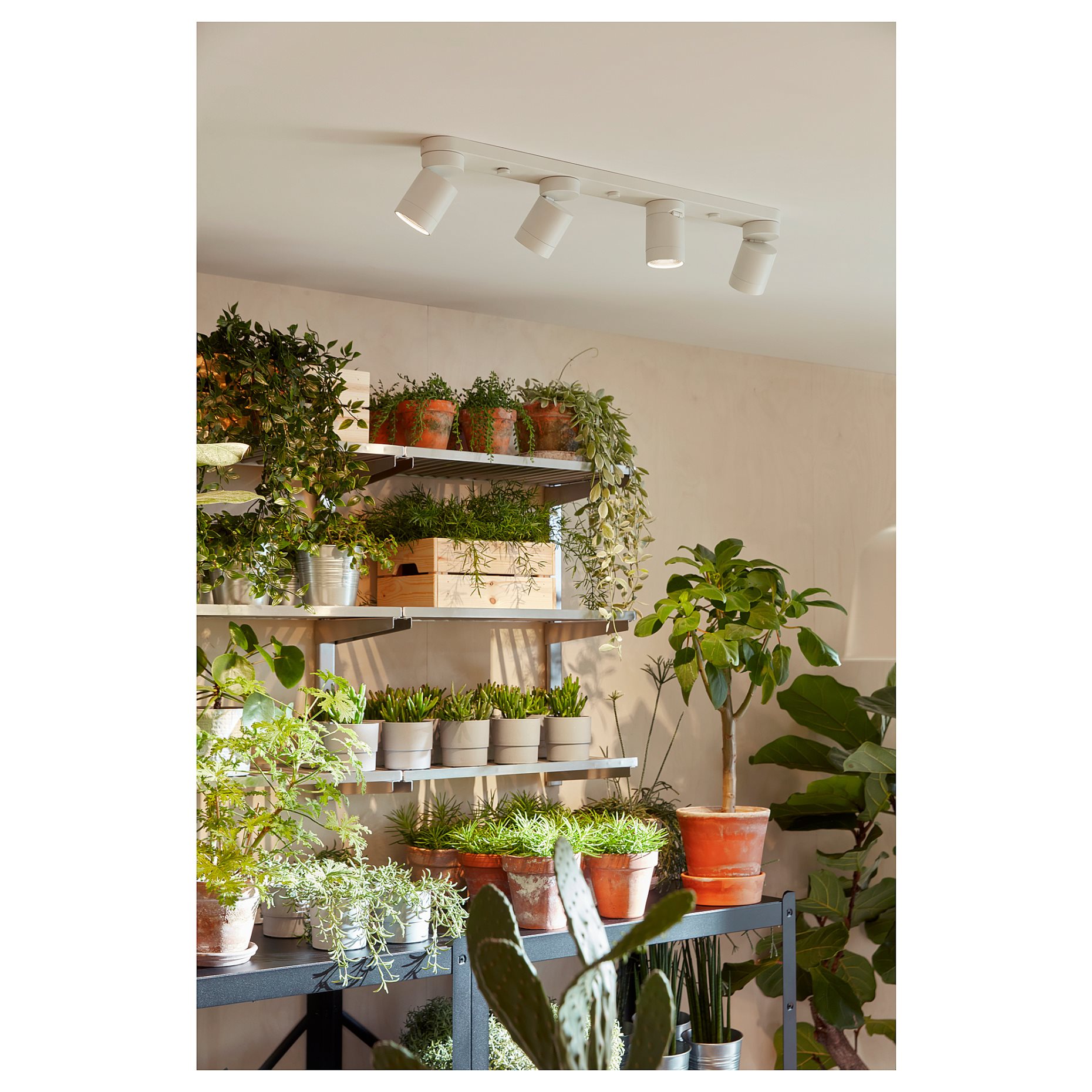 NYMÅNE, ceiling spotlight with 4 spots, 703.377.01