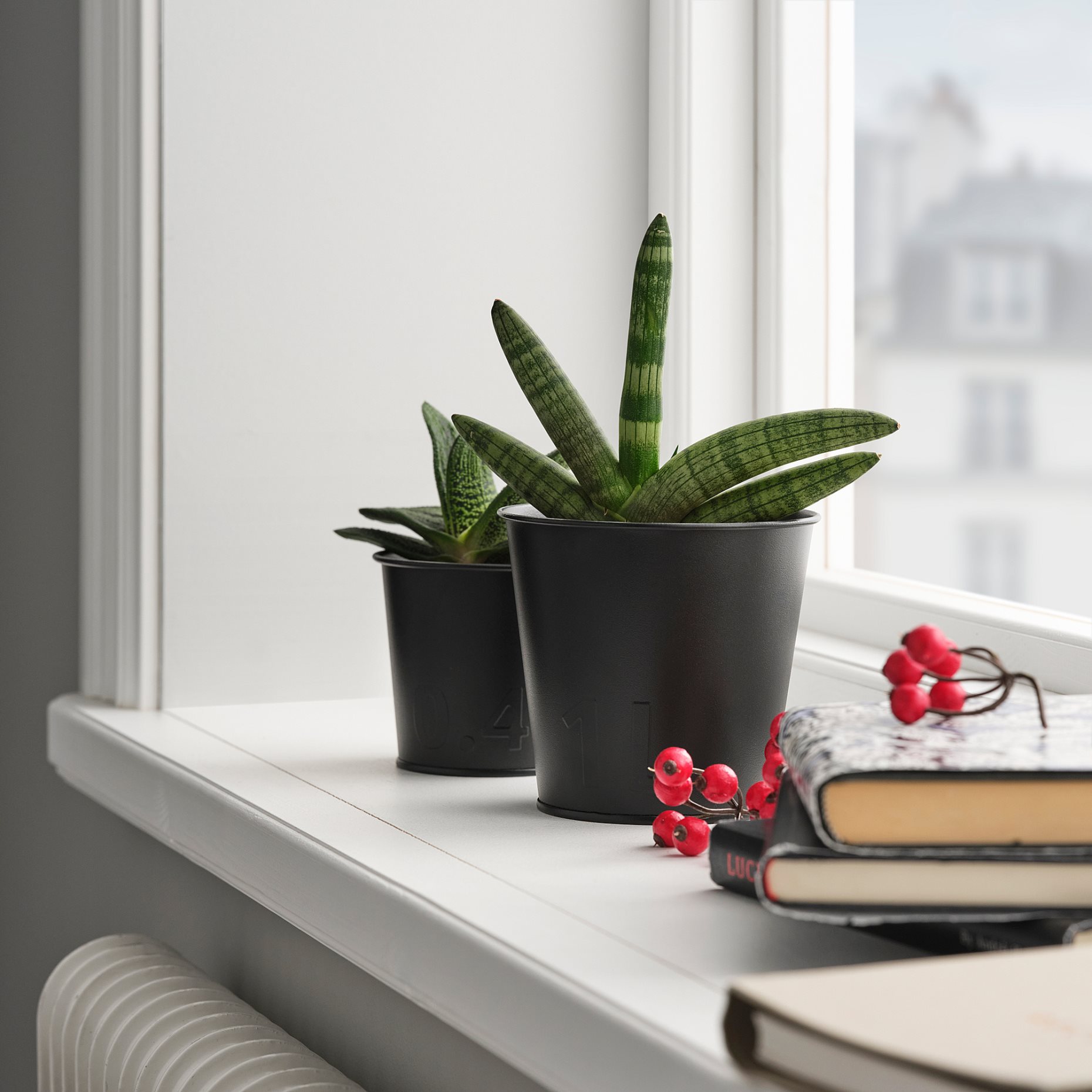 ÅKERBÄR, plant pot in/outdoor, 12 cm, 705.515.50
