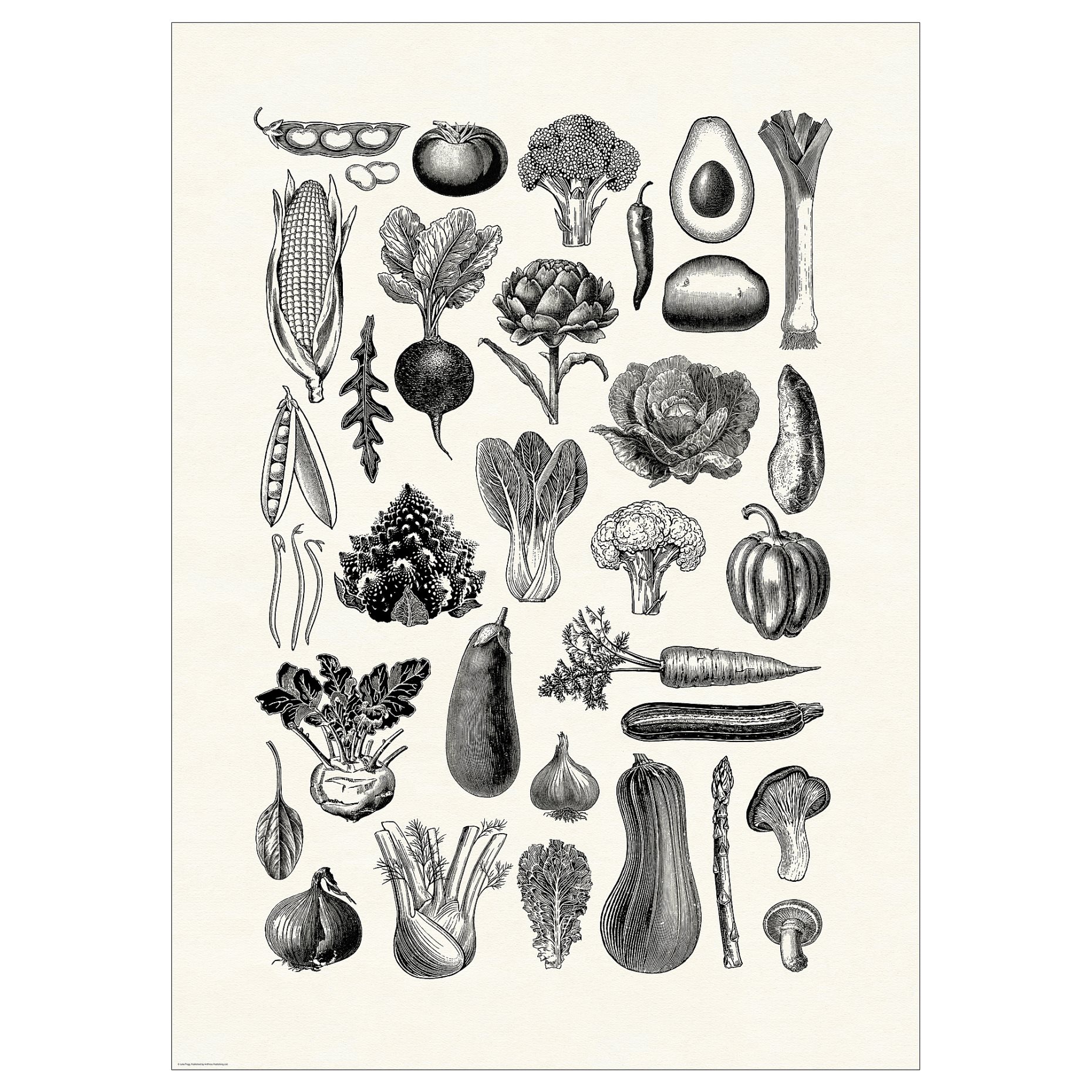 BILD, poster/various vegetables, 50x70 cm, 706.019.94
