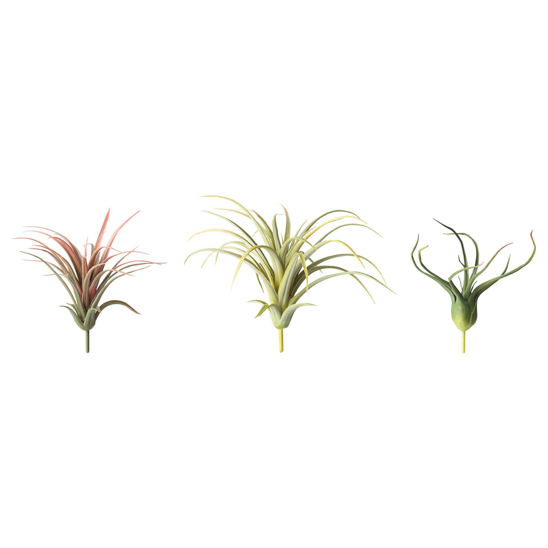 FEJKA, artificial plant/Air plant, set of 3, 805.599.61