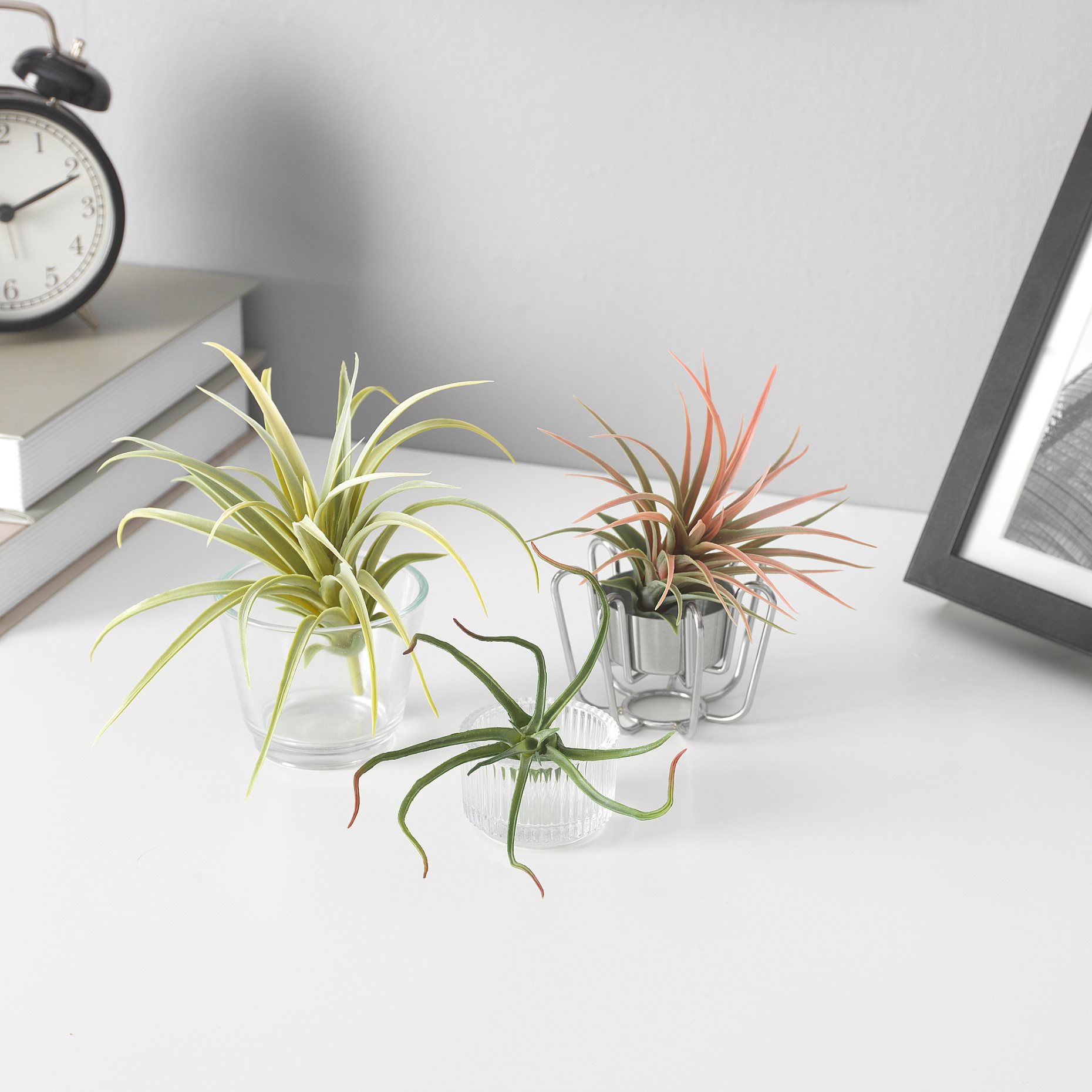 FEJKA, artificial plant/Air plant, set of 3, 805.599.61