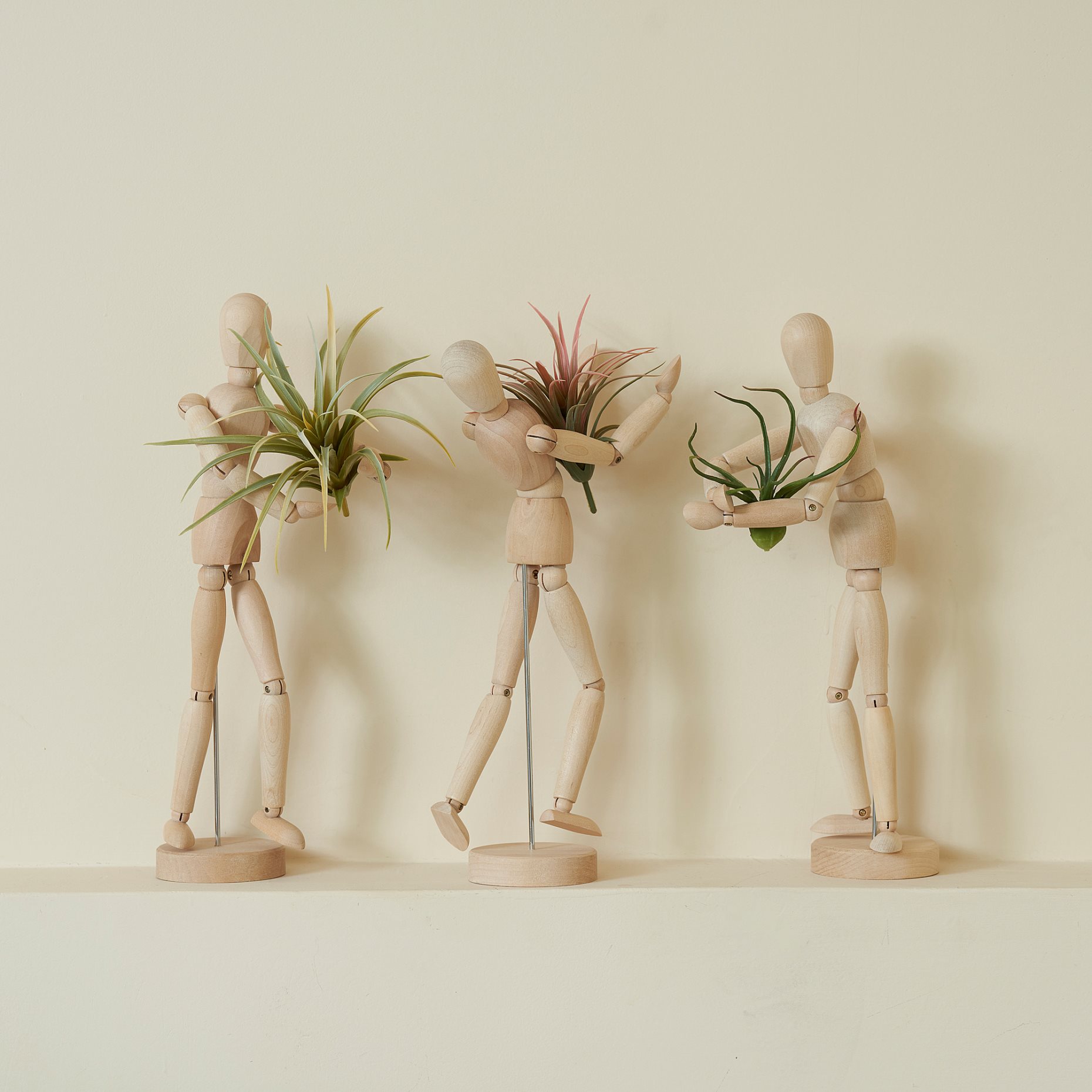 FEJKA, artificial plant/Air plant, set of 3, 805.599.61