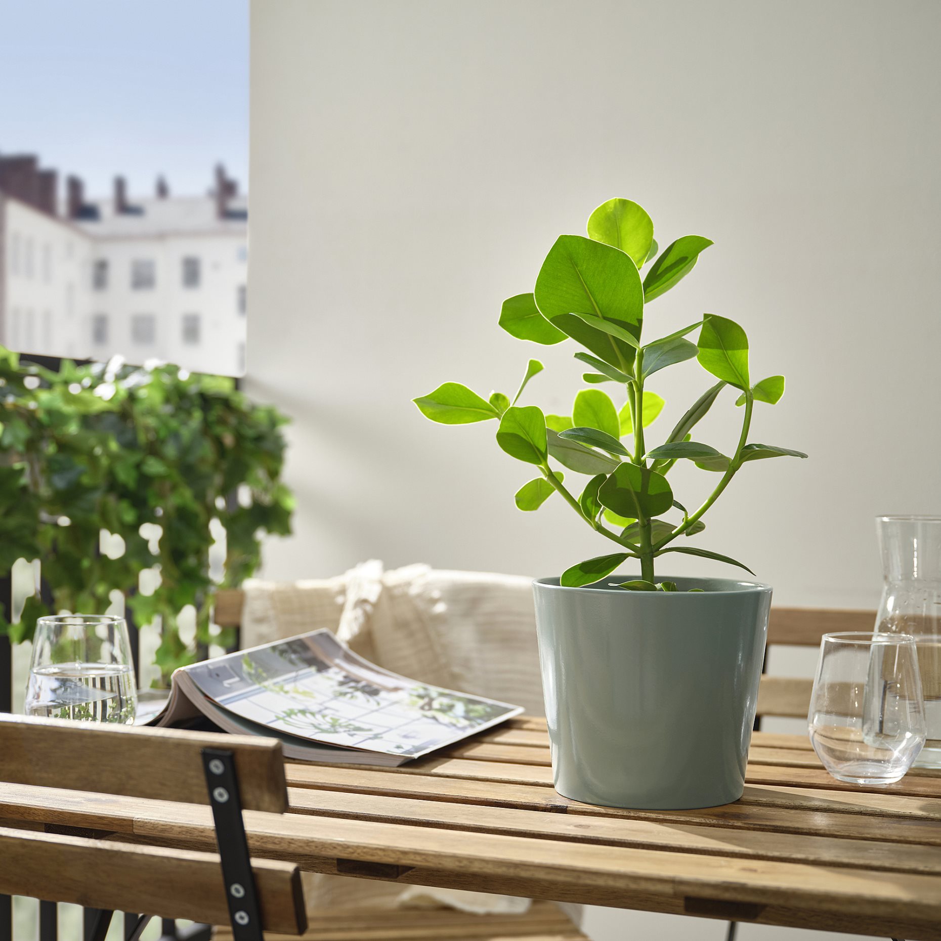 SOJABÖNA, plant pot, 15 cm, 805.865.73