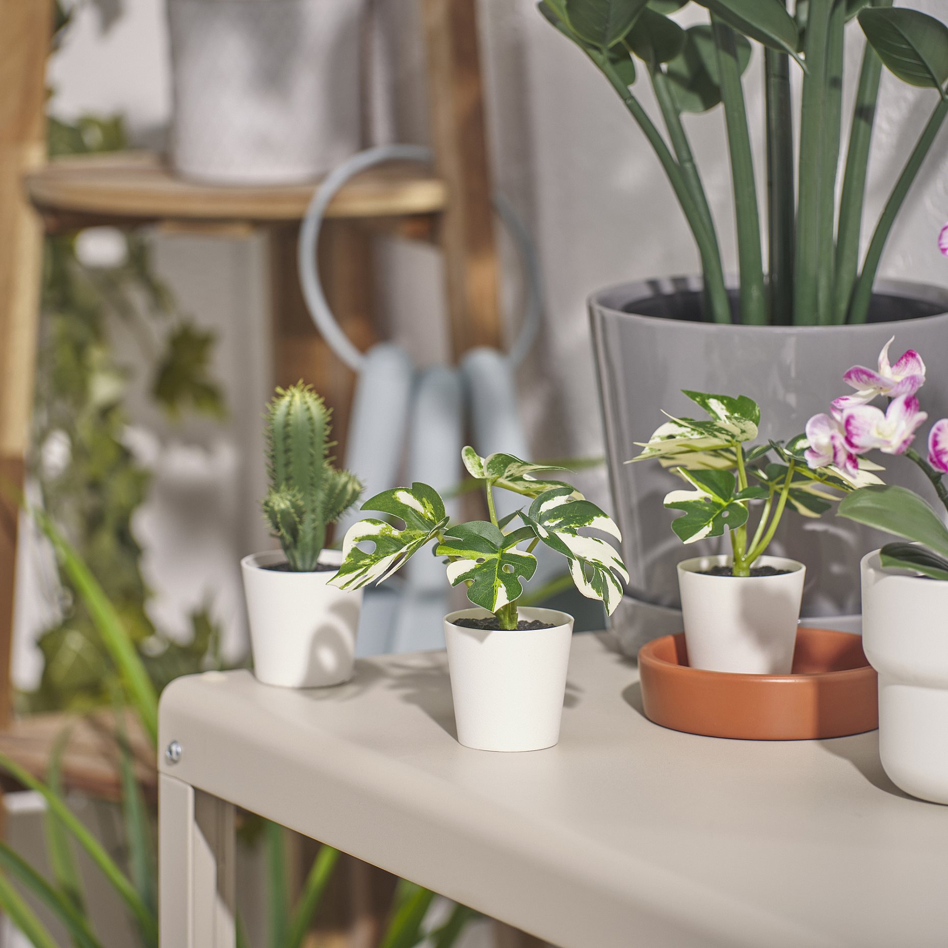FEJKA, artificial potted plant with pot in/outdoor Monstera, 6 cm, 805.932.05