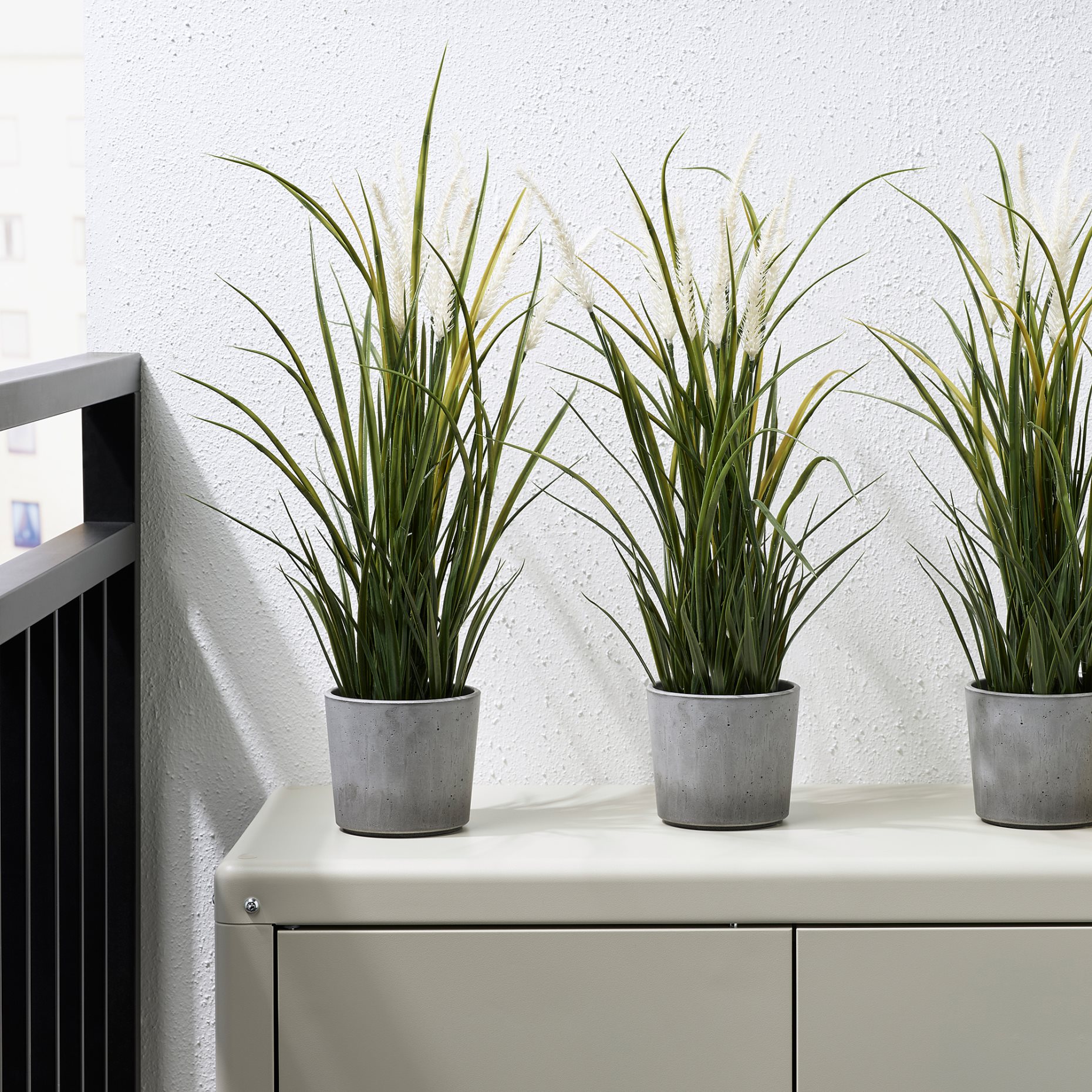 BOYSENBÄR, κασπό εσωτερικού/εξωτερικού χώρου, 9 cm, 904.782.76