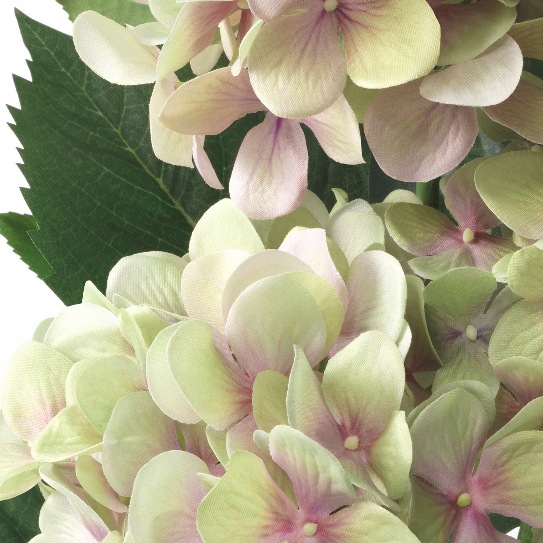 FEJKA, τεχνητό φυτό σε γλάστρα εσωτερικού/εξωτερικού χώρου/Ορτανσία, 12 cm, 905.054.06