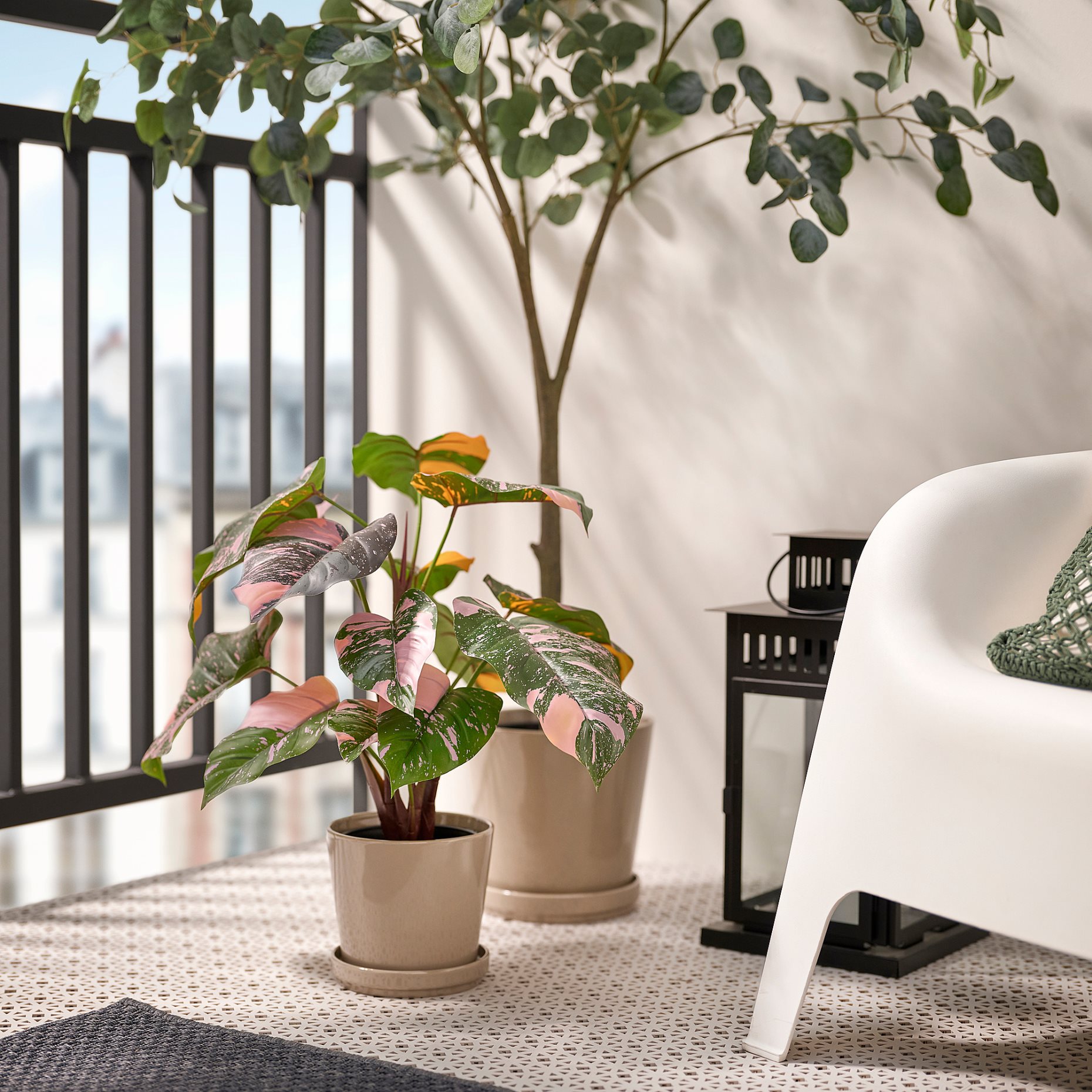 FEJKA, artificial potted plant in/outdoor/Philodendron, 15 cm, 906.008.61