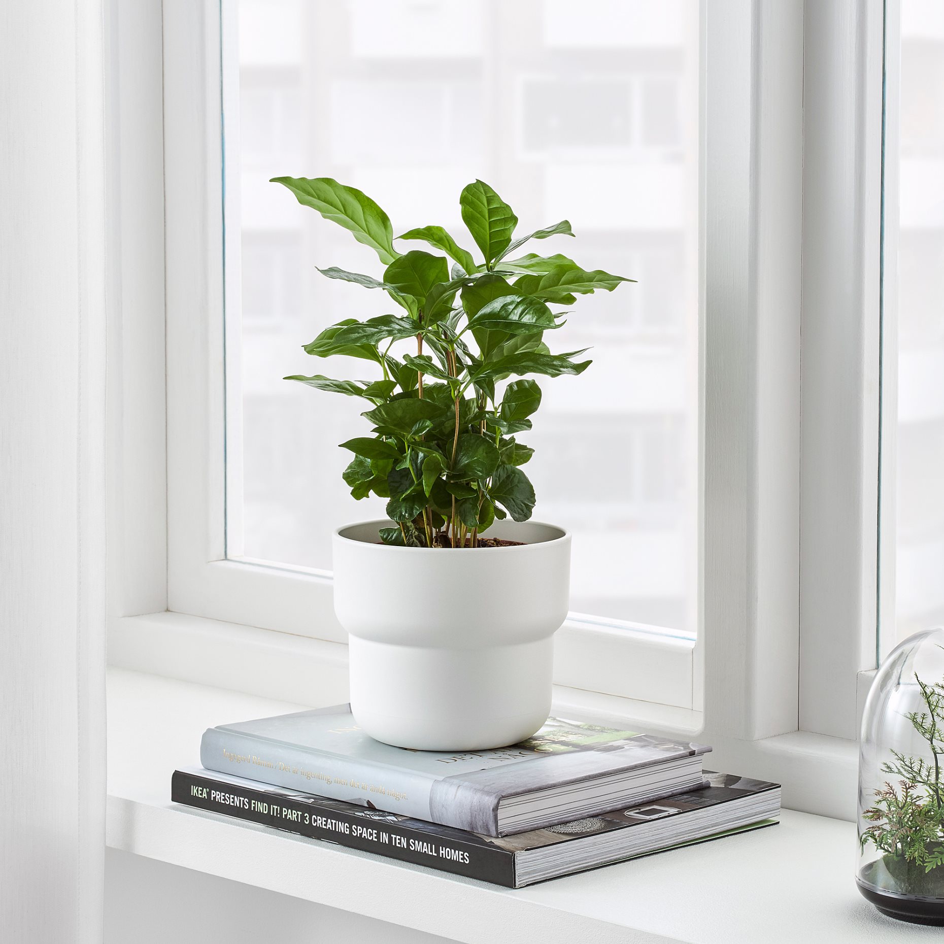 FÖRENLIG, plant pot in/outdoor, 004.548.21