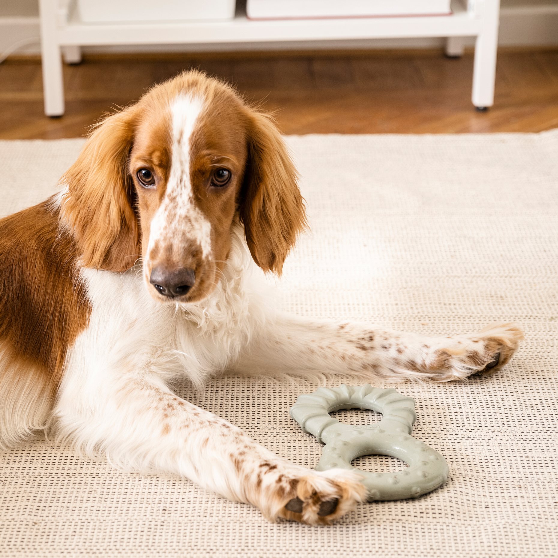 UTSADD, παιχνίδι σκύλου/κρυψώνα φαγητού και σνακ, 005.692.09