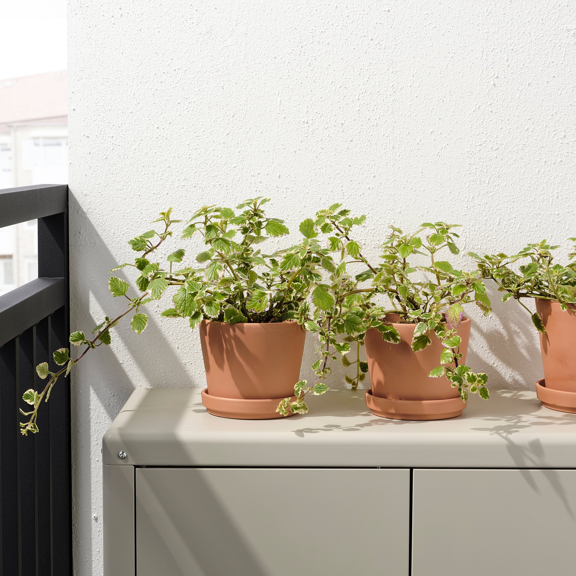 BRUNBÄR, plant pot with saucer/outdoor, 12 cm, 105.108.26