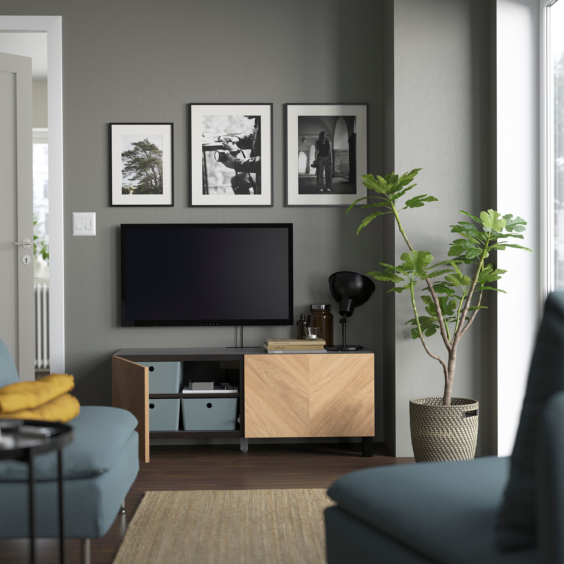 BESTÅ, TV bench with doors, 120x42x48 cm, 194.196.20