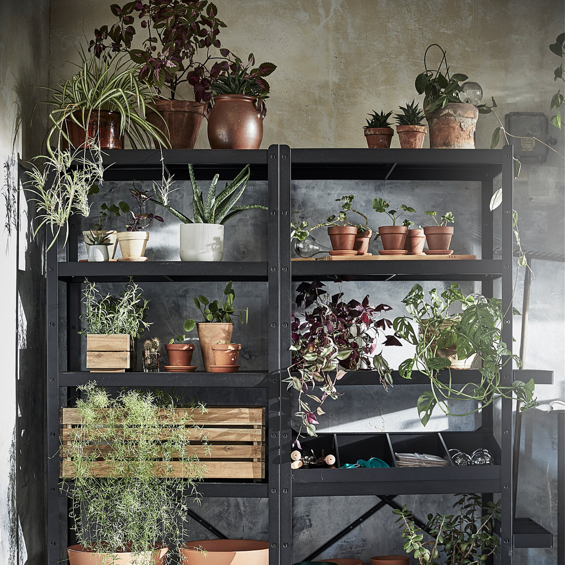 BROR, ραφιέρα, 492.829.94