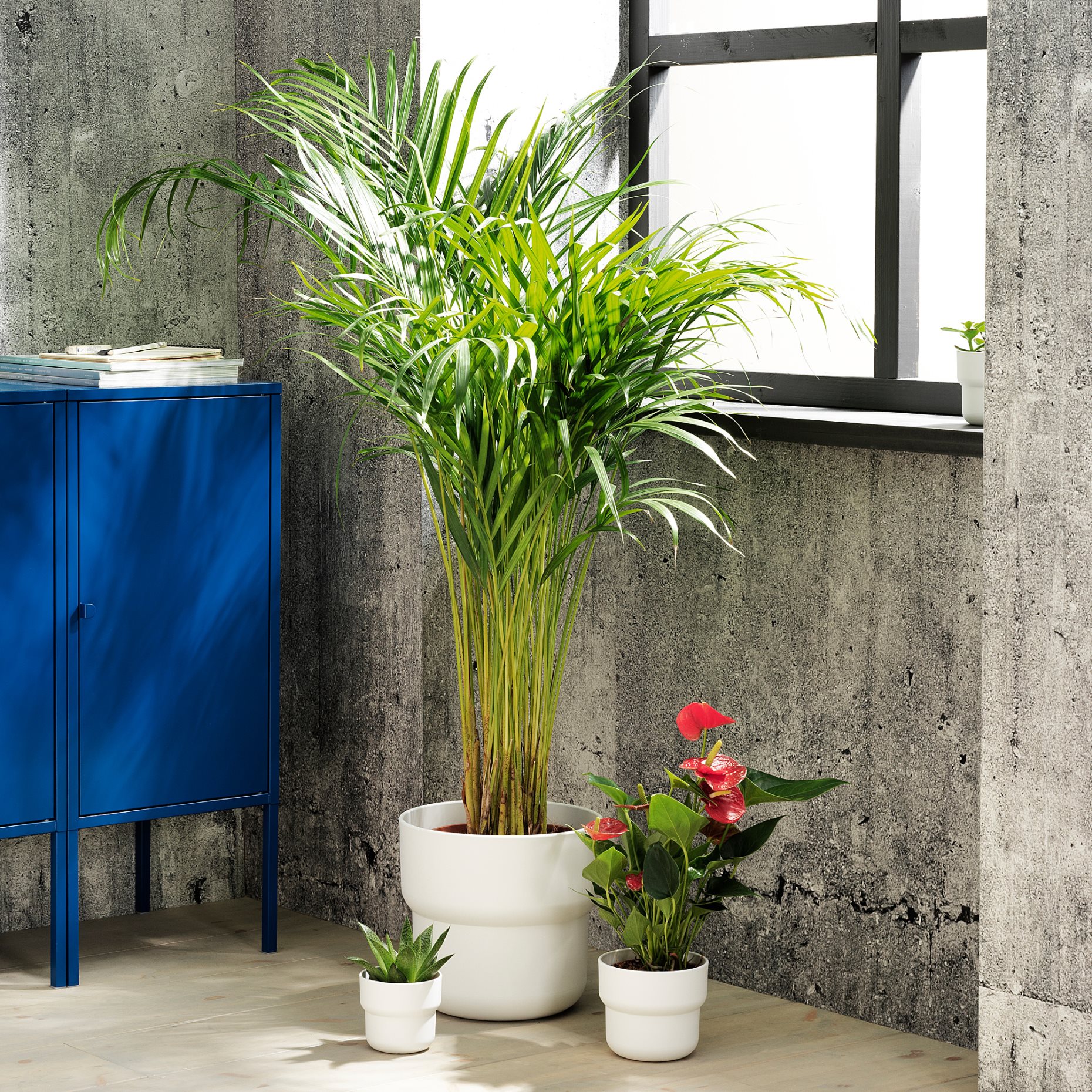FÖRENLIG, plant pot in/outdoor, 704.548.13