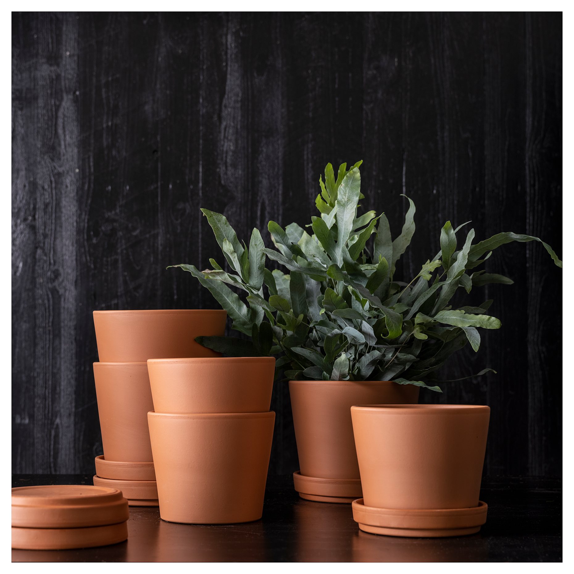 BRUNBÄR, plant pot with saucer/outdoor, 15 cm, 705.108.28