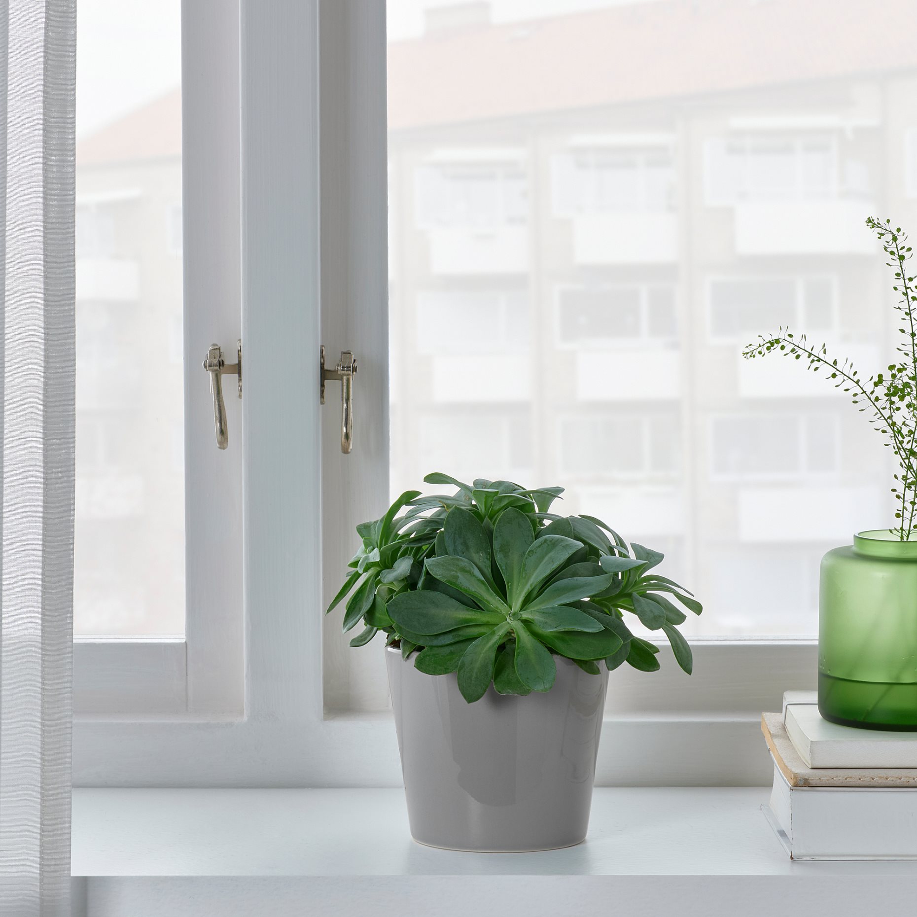 SKOGSVINBÄR, plant pot in/outdoor, 9 cm, 805.084.48