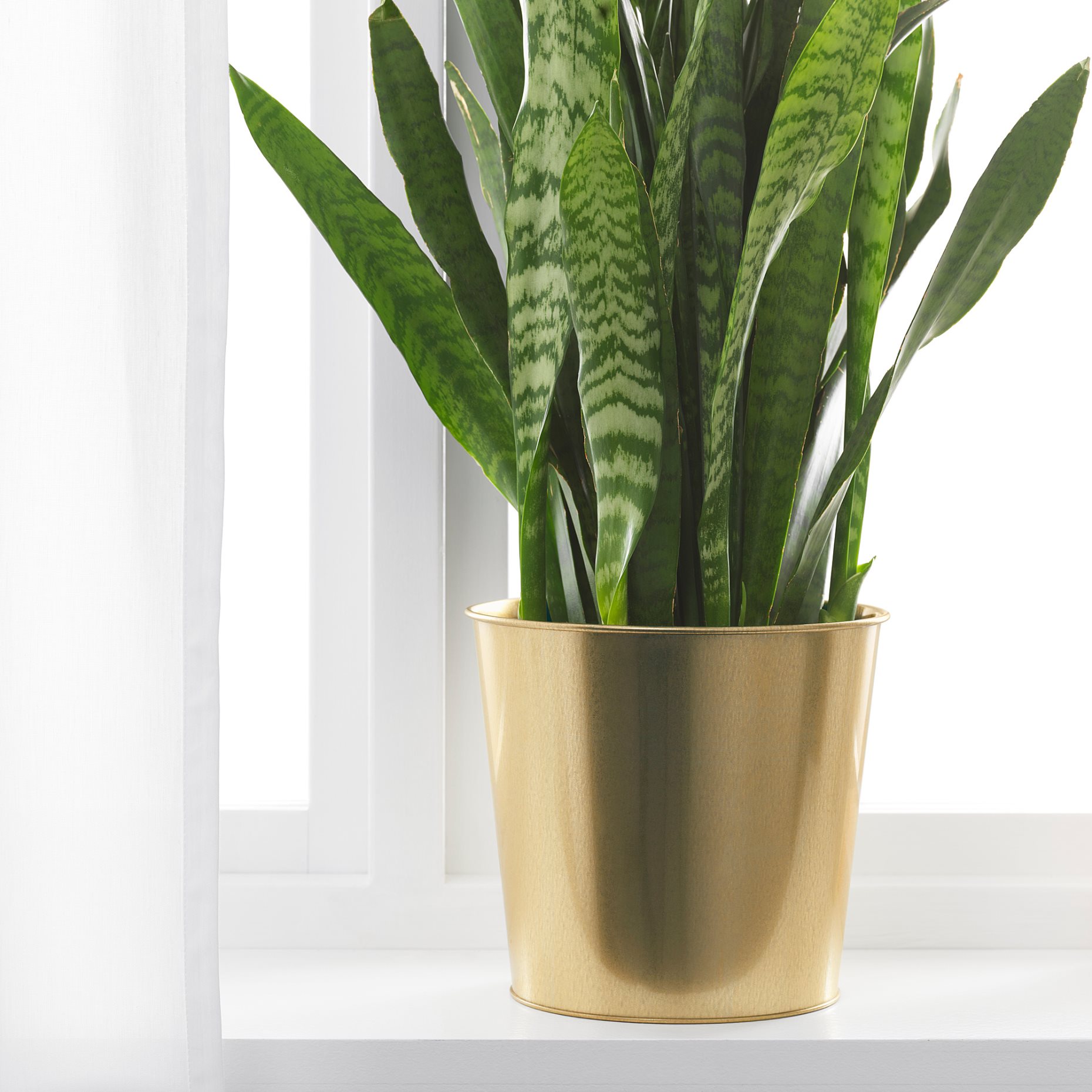 DAIDAI, plant pot, 903.594.19