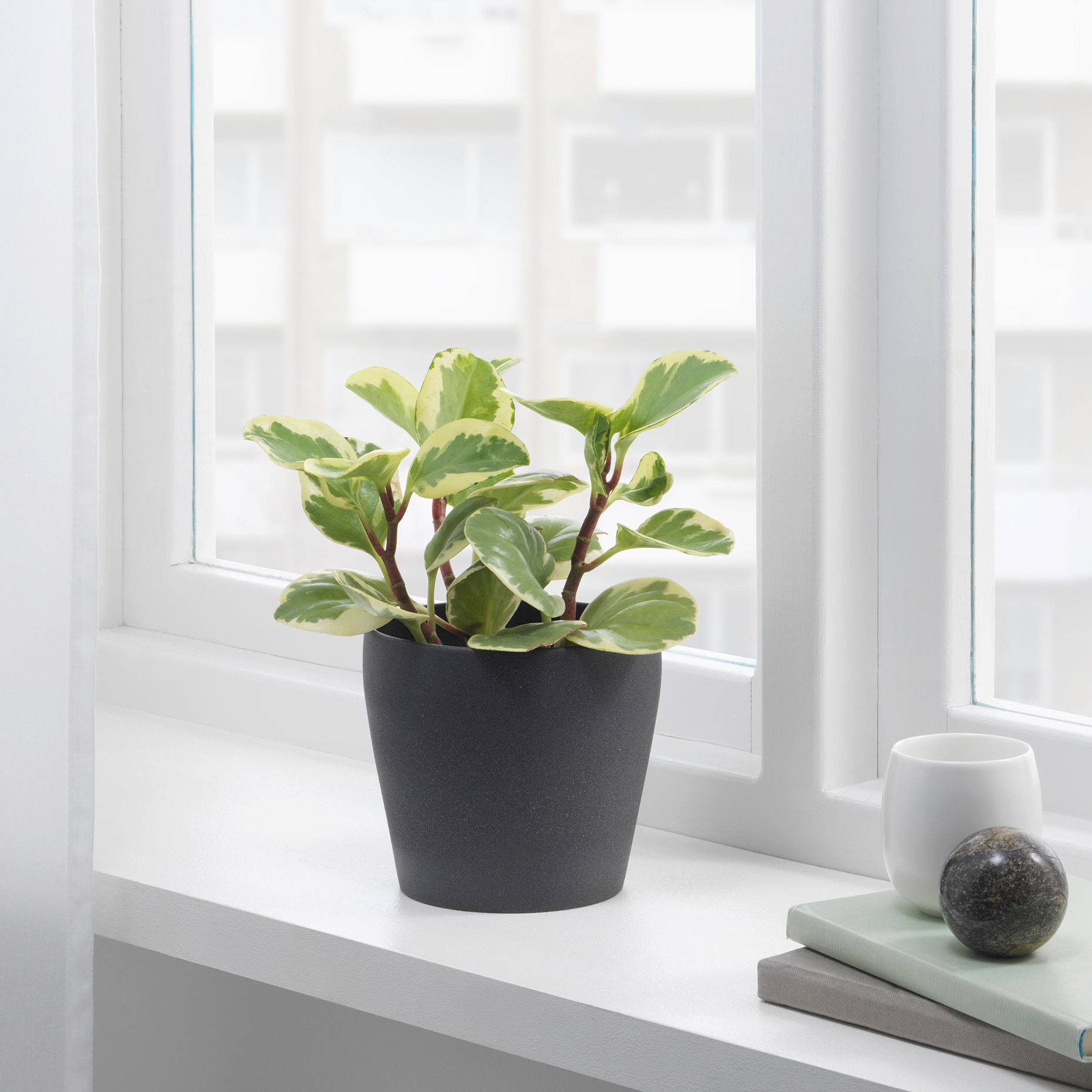PERSILLADE, plant pot, 003.157.26