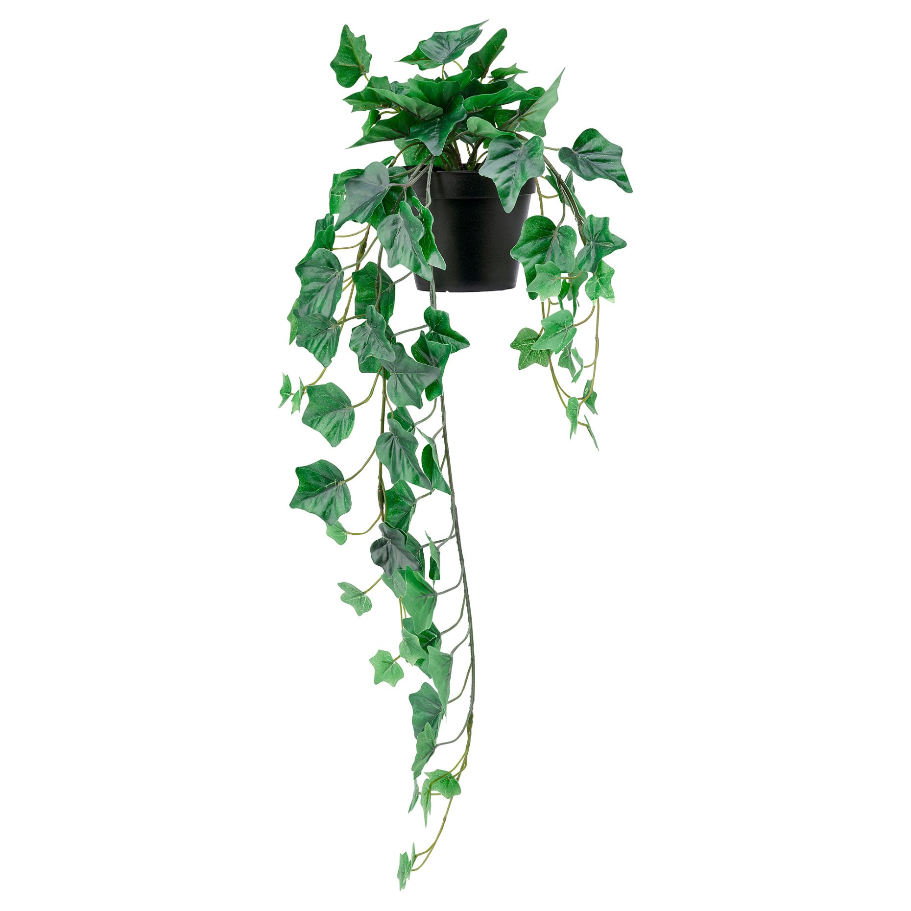 FEJKA, artificial potted plant in/outdoor/hanging Ivy, 12 cm, 104.611.47