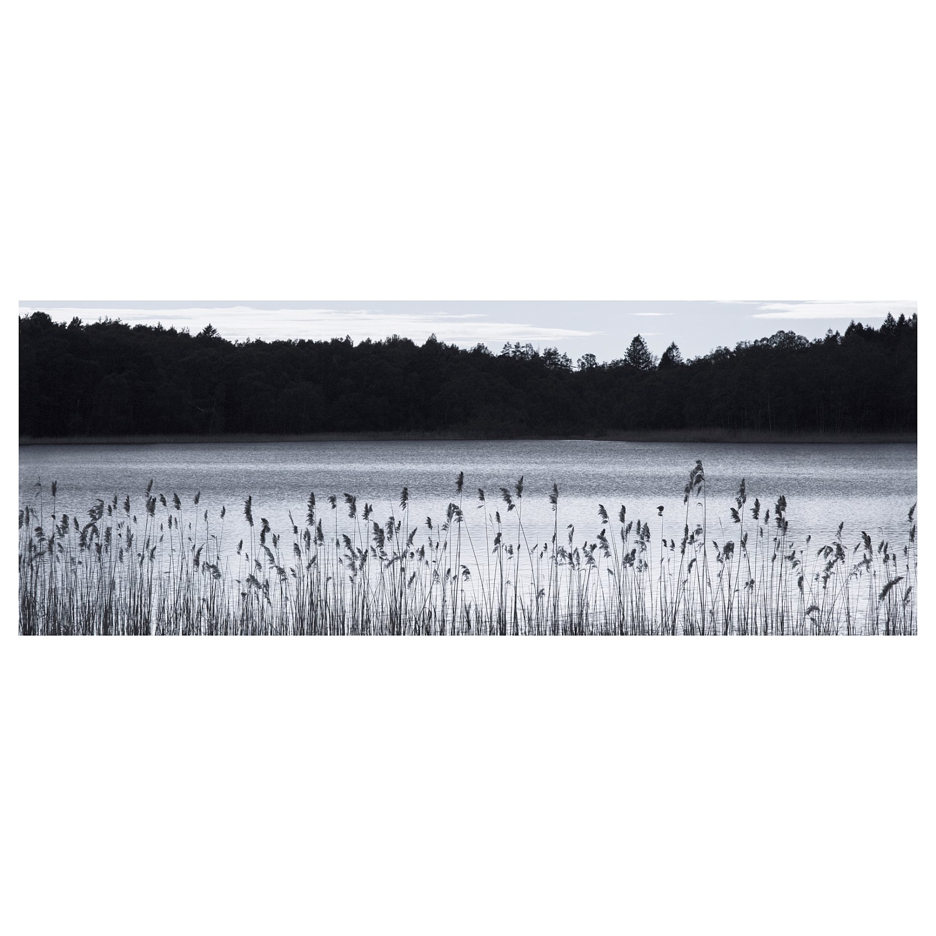 BJÖRKSTA, picture Woodland lake, 140x56 cm, 104.798.64