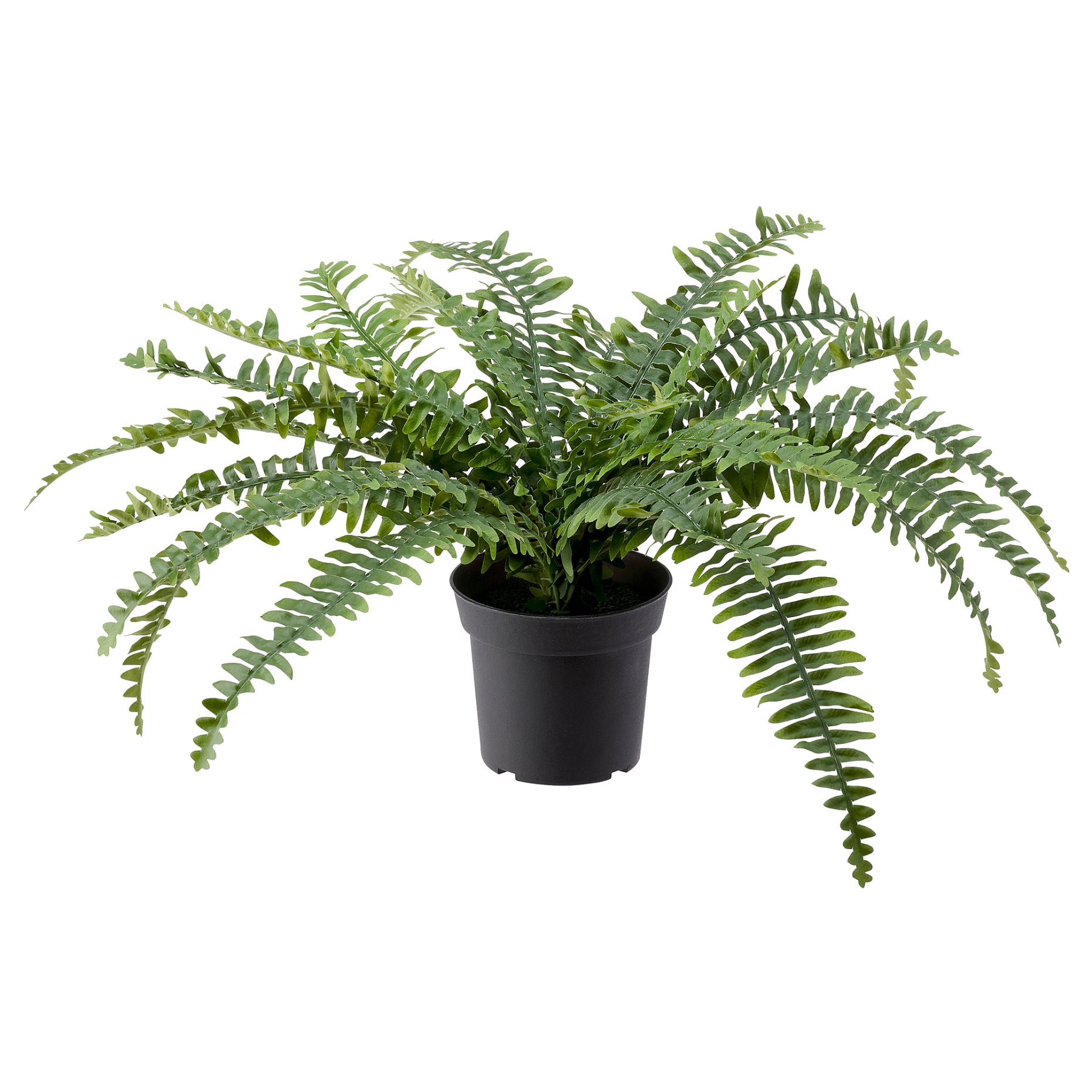 FEJKA, artificial potted plant in/outdoor fern, 15 cm, 204.684.50