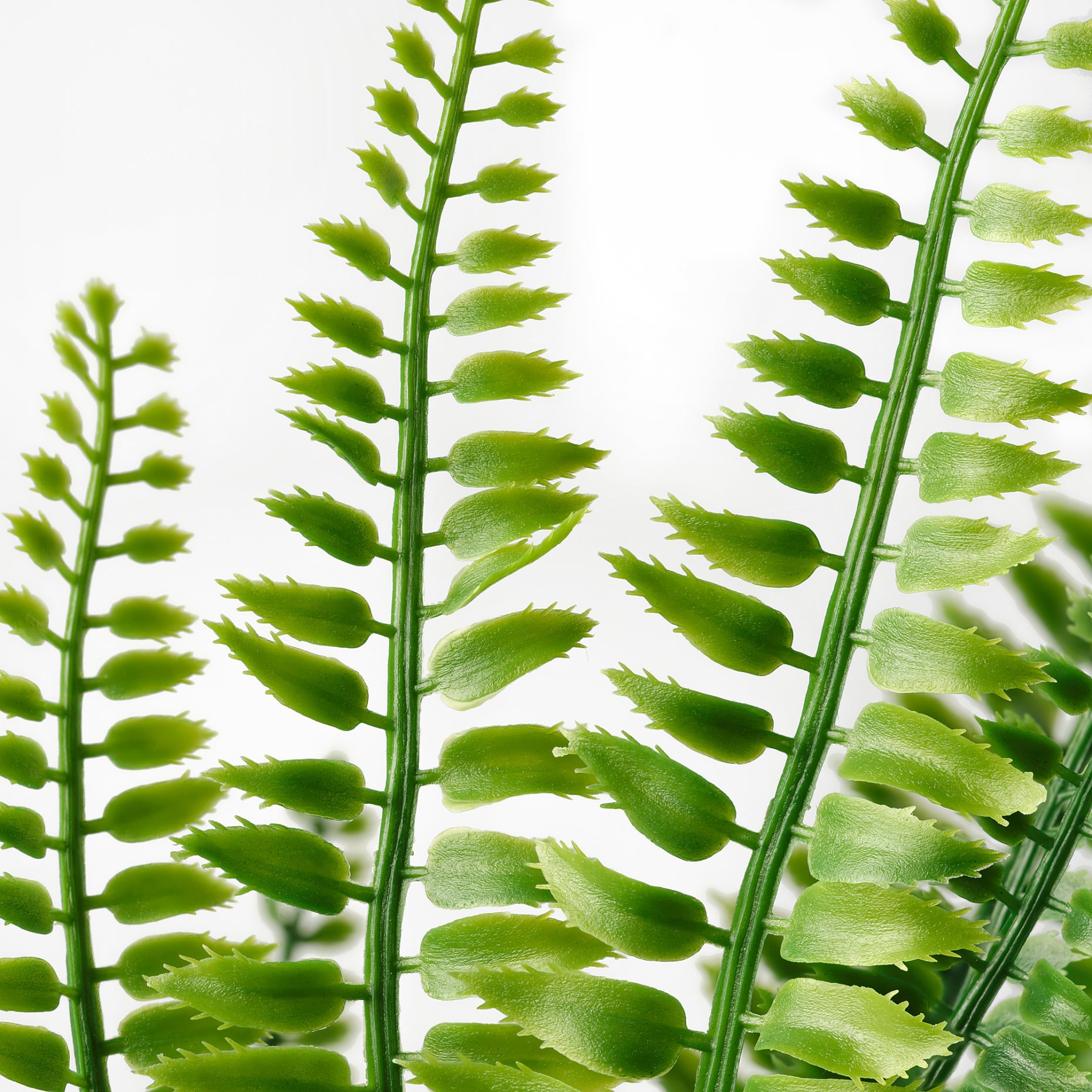 FEJKA, artificial potted plant in/outdoor, fern, 304.339.45