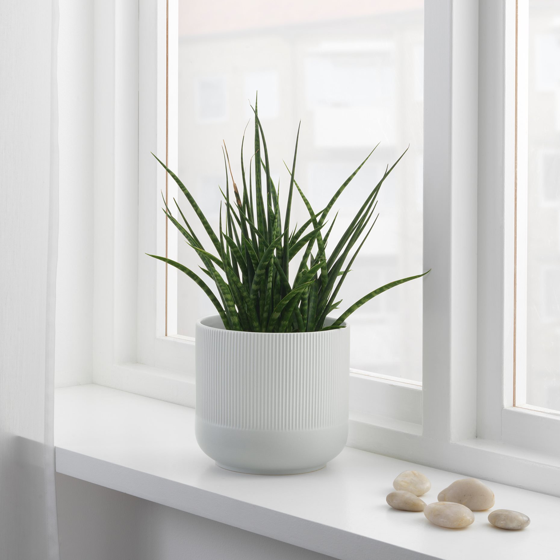 GRADVIS, plant pot, 404.140.79
