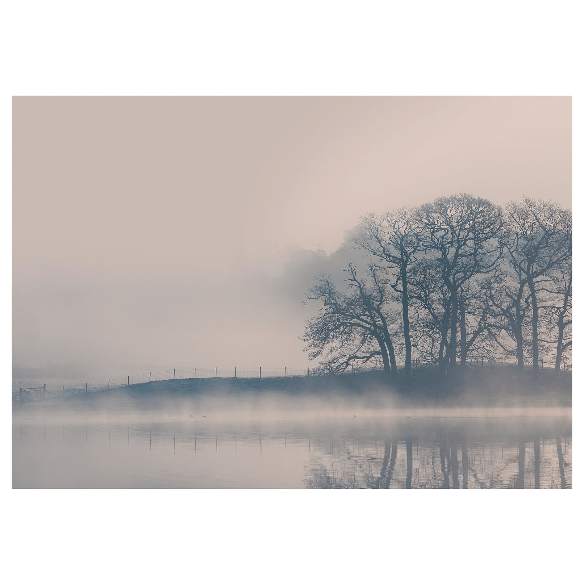 BJÖRKSTA, picture Misty landscape, 140x100 cm, 404.798.53