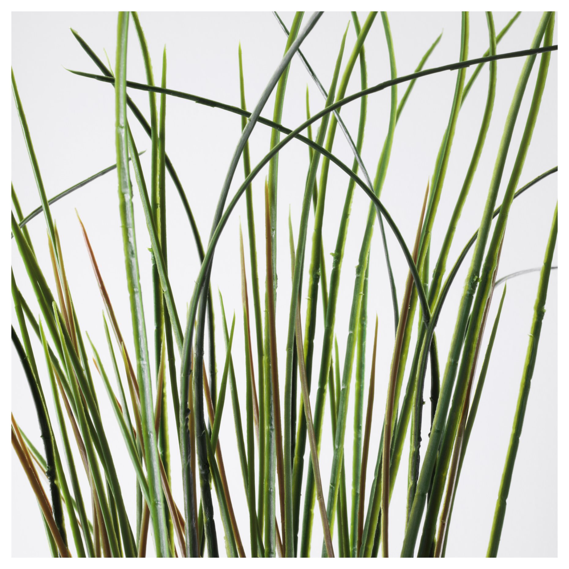 FEJKA, artificial potted plant, grass, 701.866.60