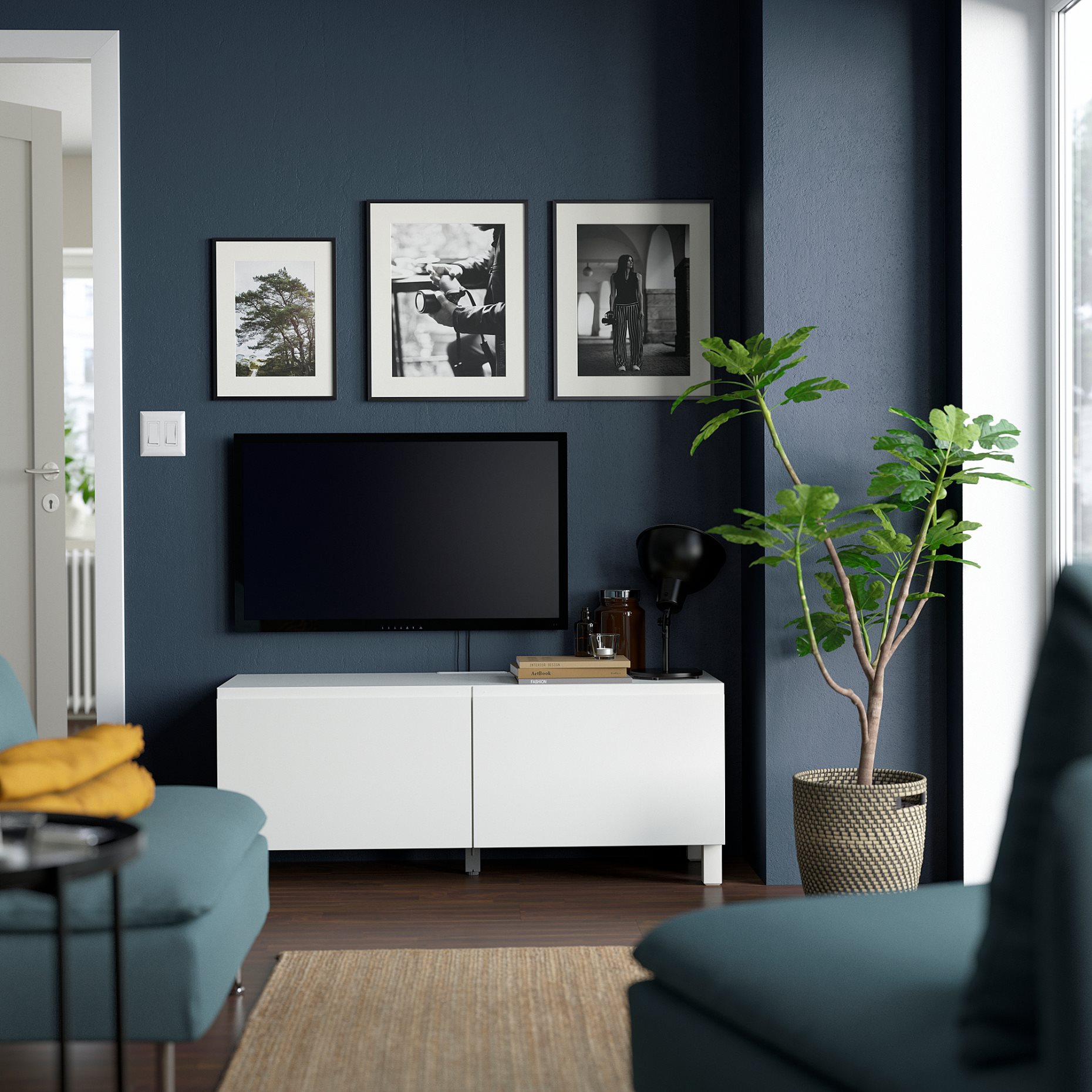 BESTÅ, TV bench with doors, 120x42x48 cm, 794.194.48