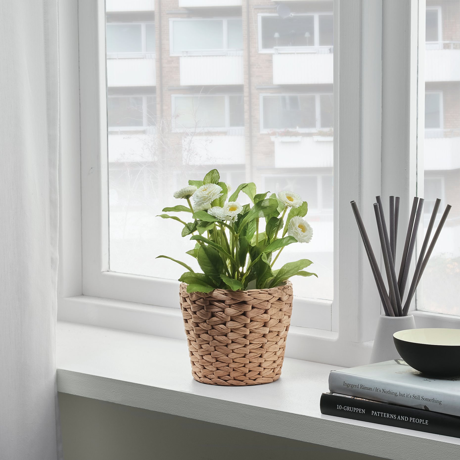 FRIDFULL, plant pot, 901.558.70
