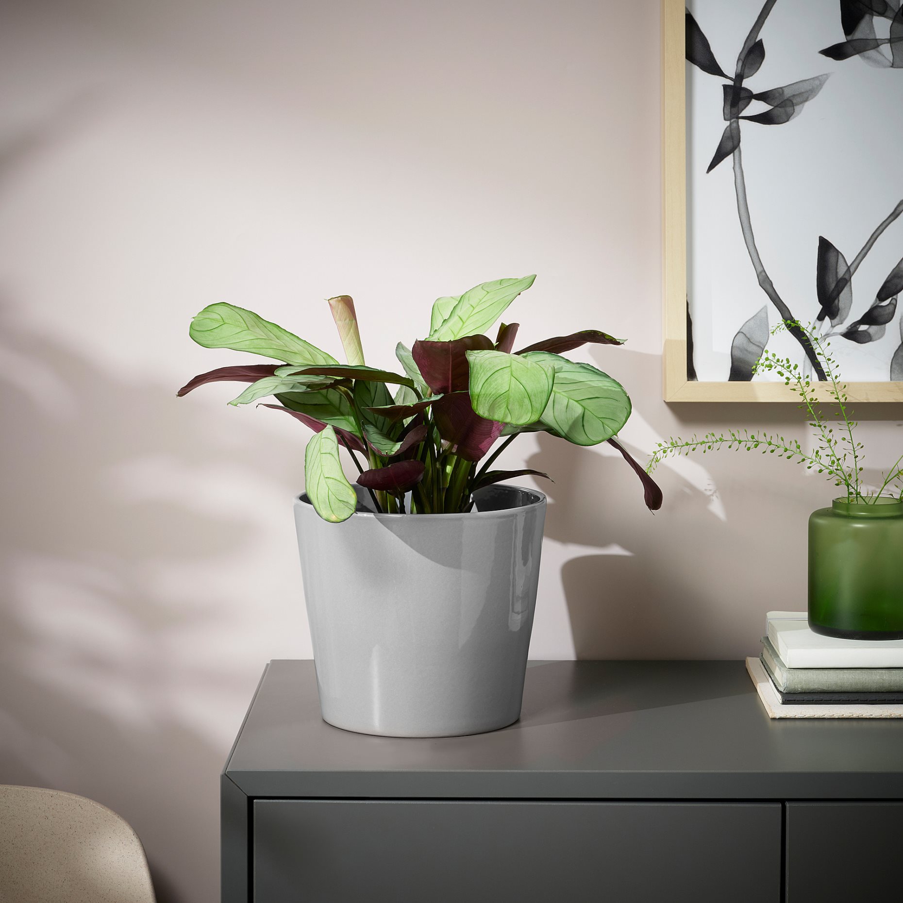SKOGSVINBÄR, plant pot in/outdoor, 15 cm, 905.084.43