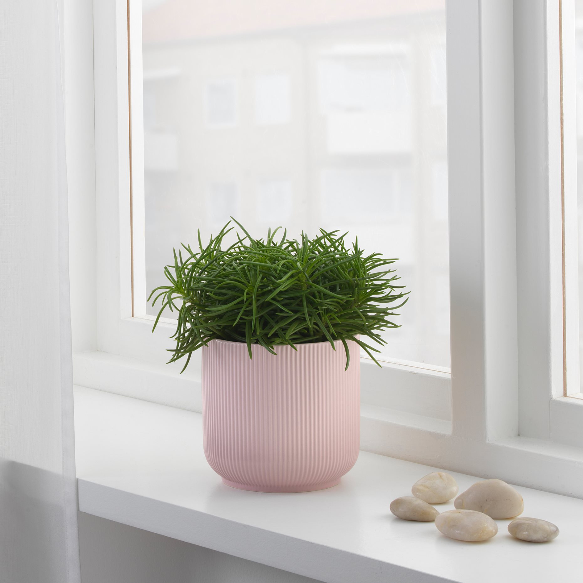 GRADVIS, plant pot, 604.140.78