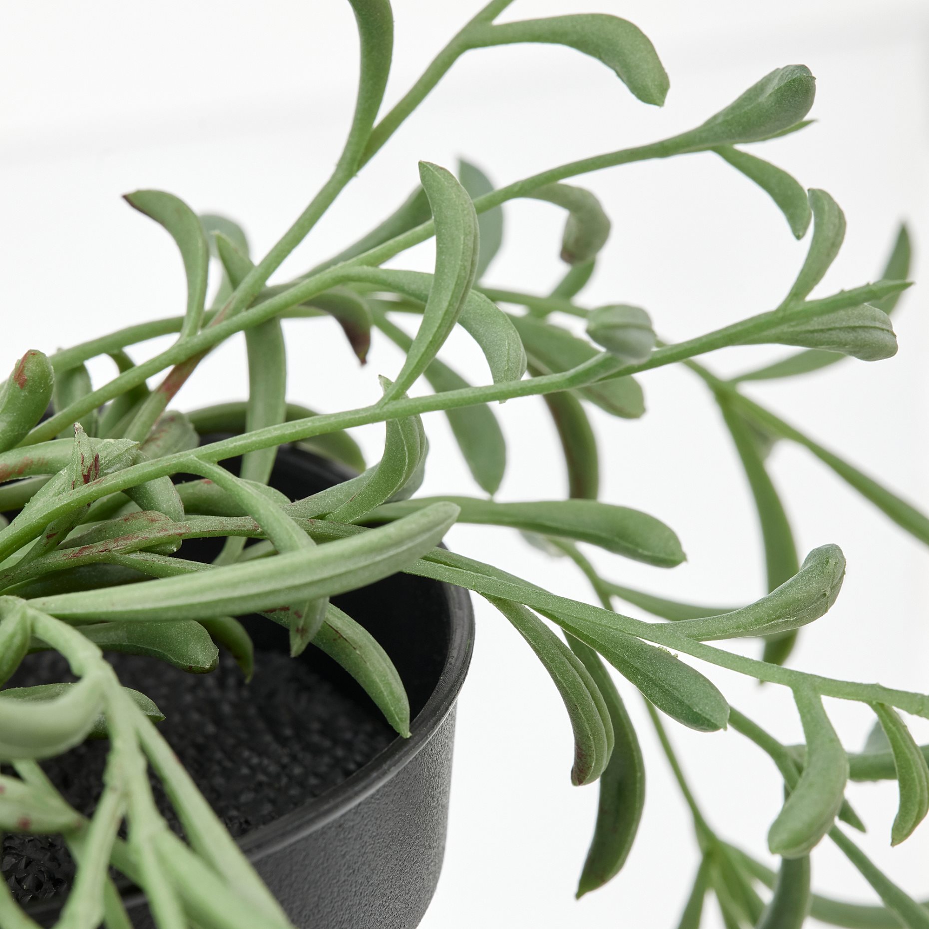 FEJKA, artificial potted plant in/outdoor/string of bananas hanging, 9 cm, 205.084.08