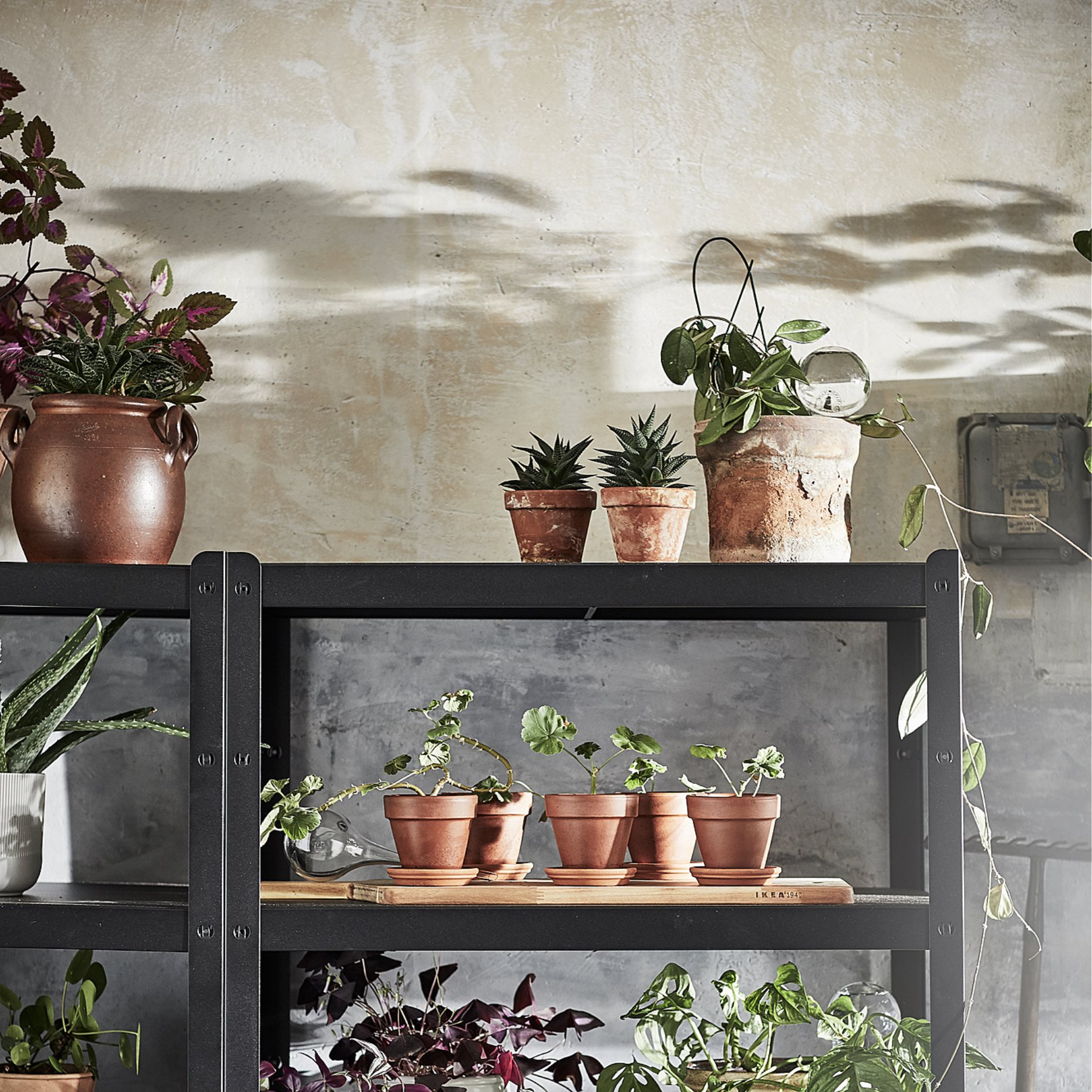 BROR, ράφι, 4 τεμ. 84x54 cm, 005.122.89