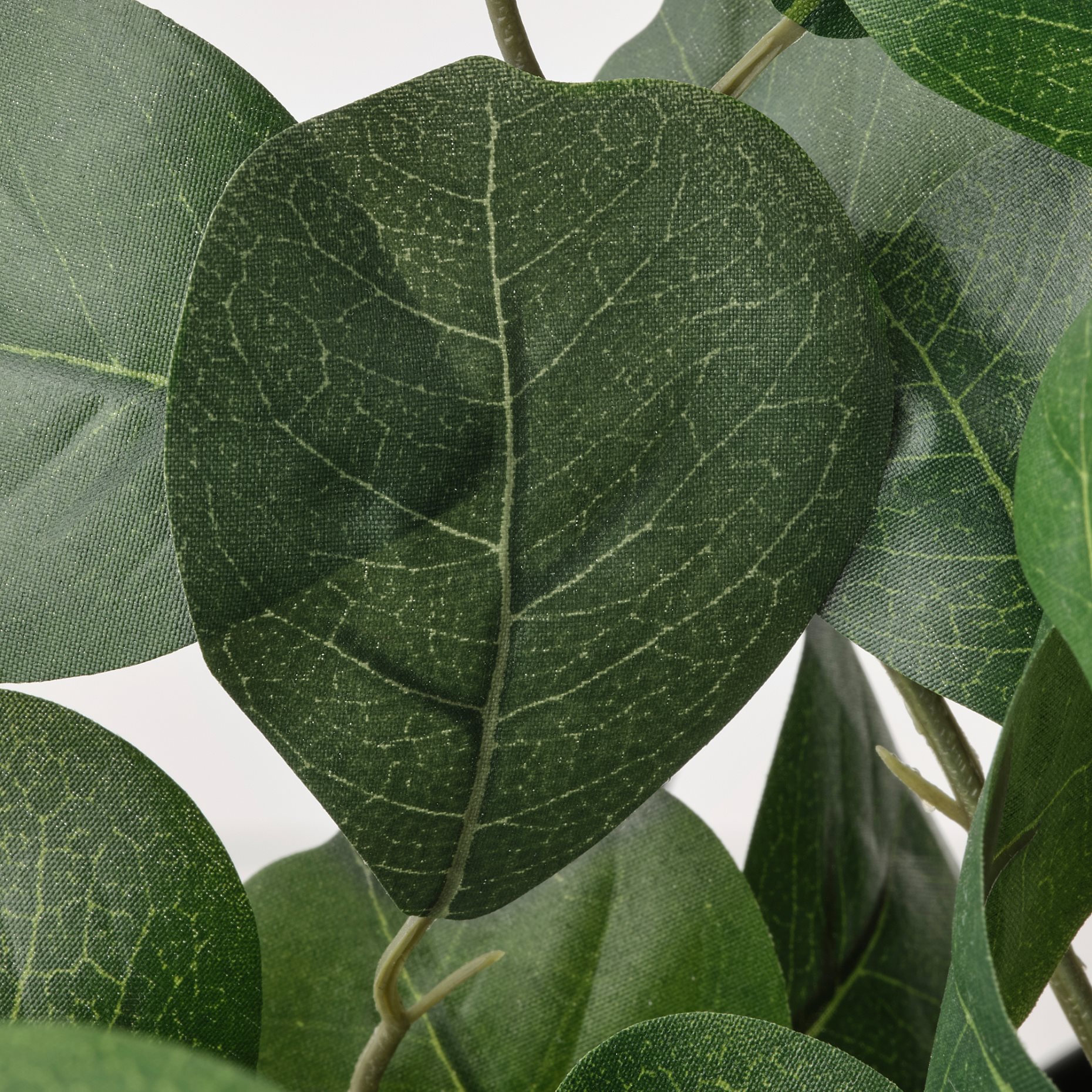 FEJKA, τεχνητό φυτό σε γλάστρα εσωτερικού/εξωτερικού χώρου/φίκος, 15 cm, 005.229.76