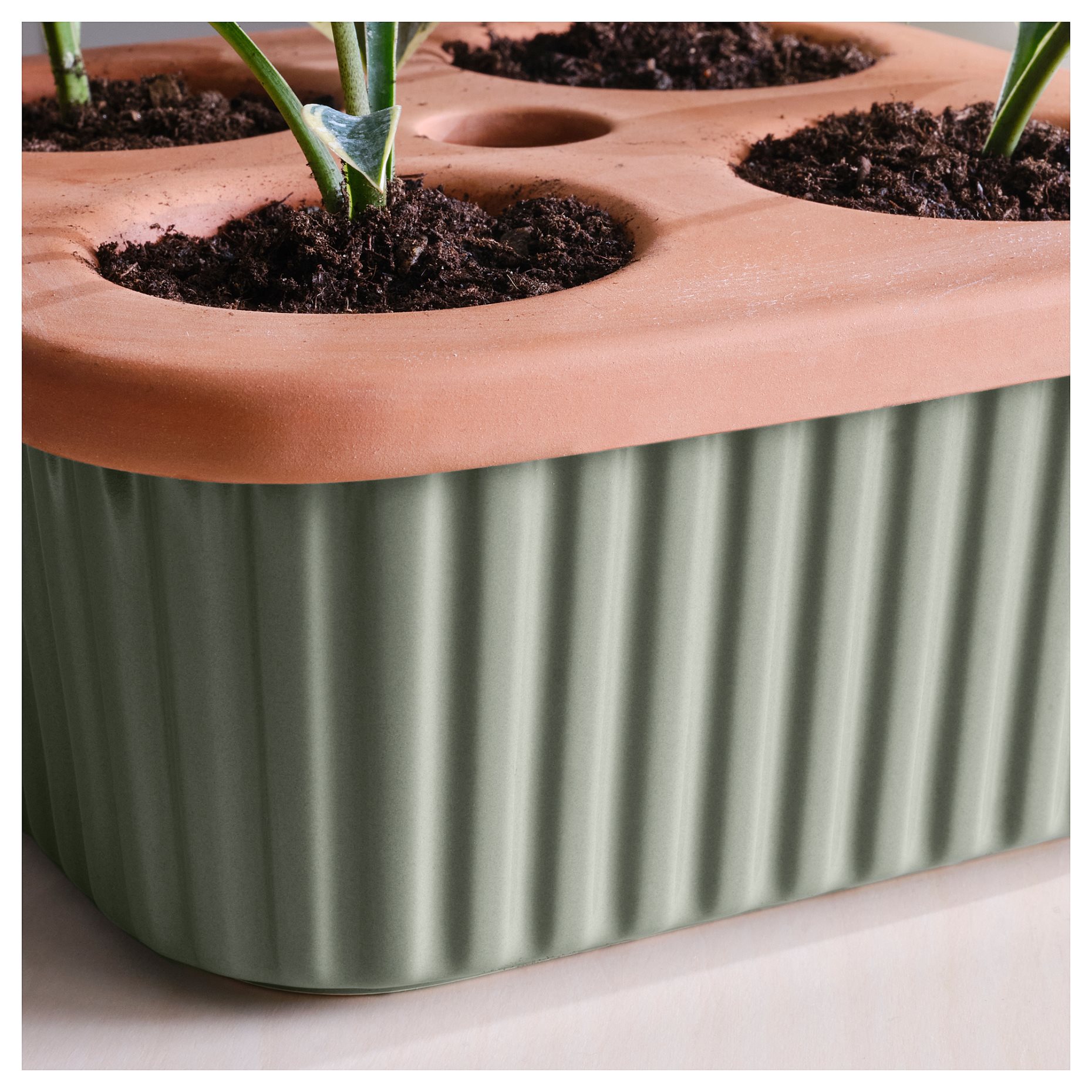 DAKSJUS, self-watering plant pot, 22x22 cm, 005.670.93