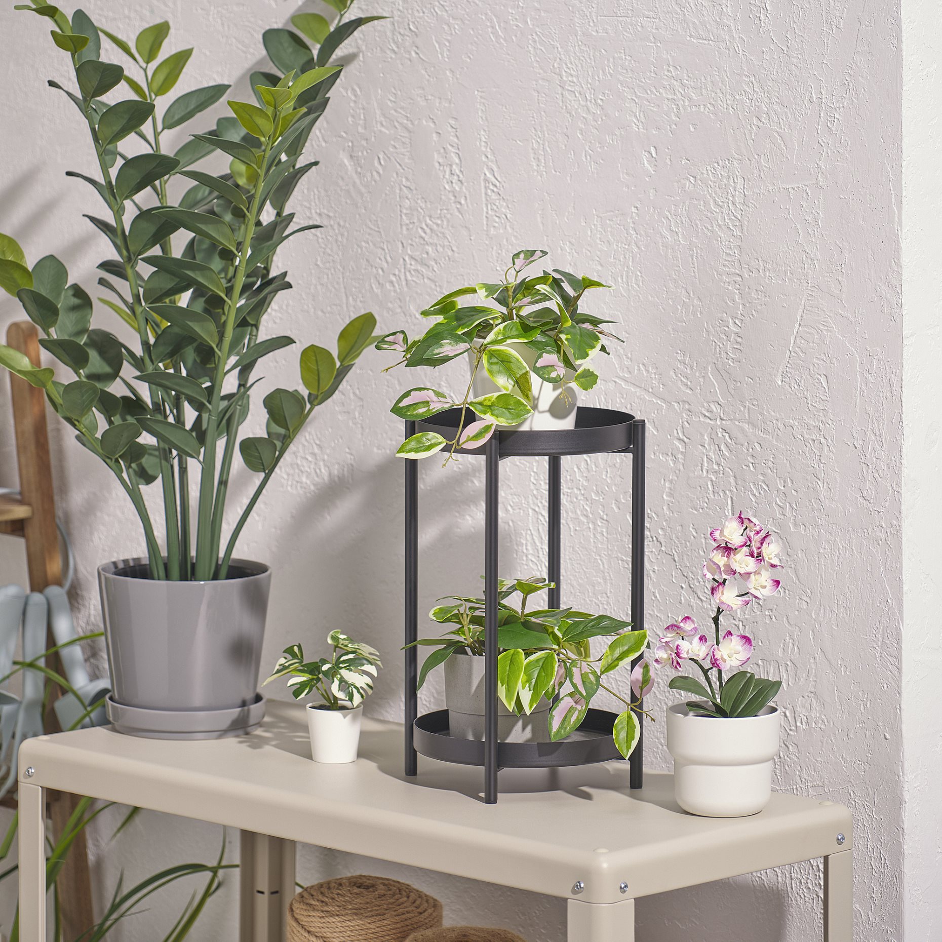 FEJKA, artificial potted plant in/outdoor/Wax plant hanging, 9 cm, 005.932.14