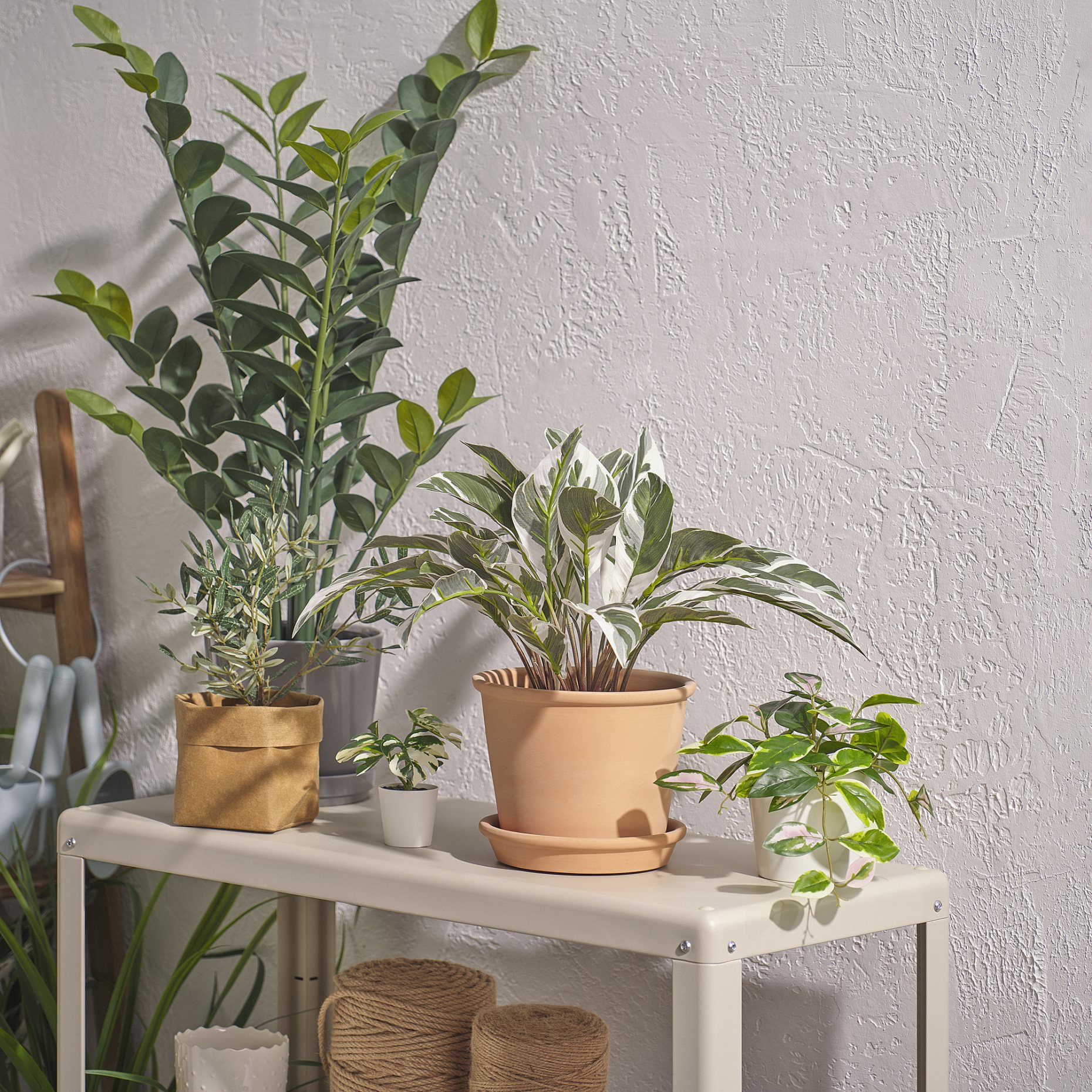FEJKA, artificial potted plant in/outdoor/Aroid palm, 15 cm, 005.932.28