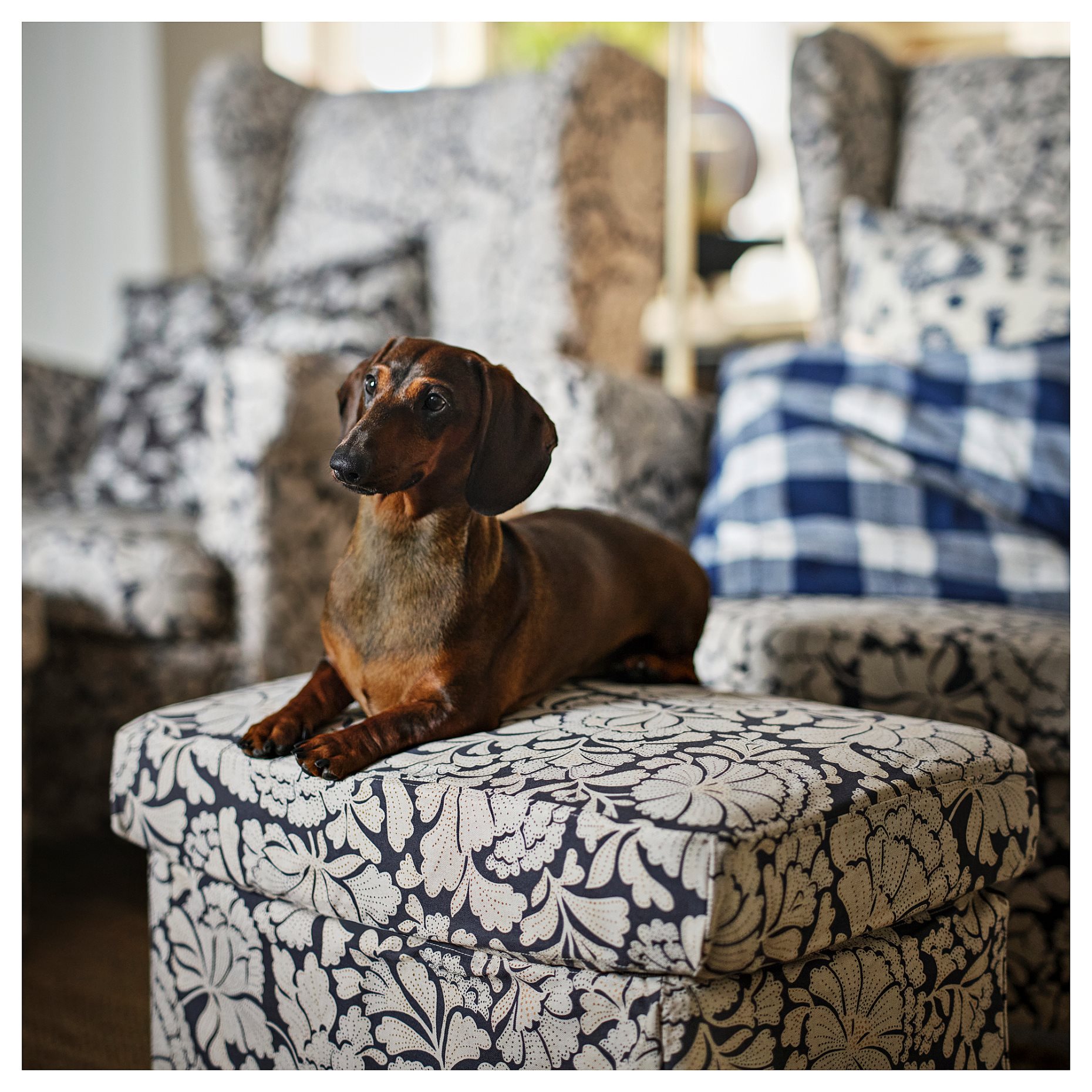 STRANDMON, κάλυμμα για υποπόδιο, 006.056.36