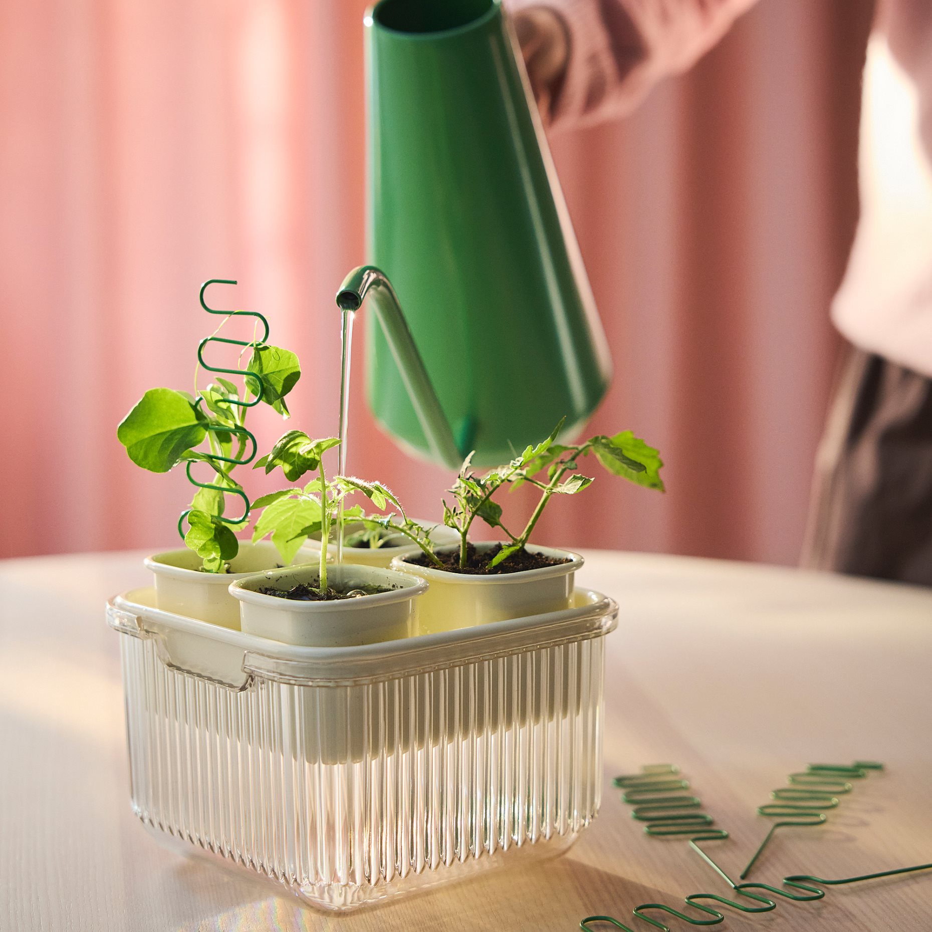 DOFTRIPS, watering can, 1.5 l, 006.123.16