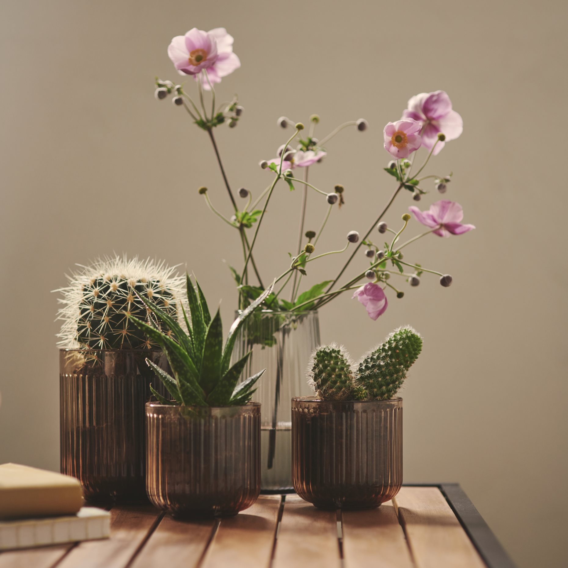 GRADVIS, plant pot in/outdoor, 9 cm, 006.232.92