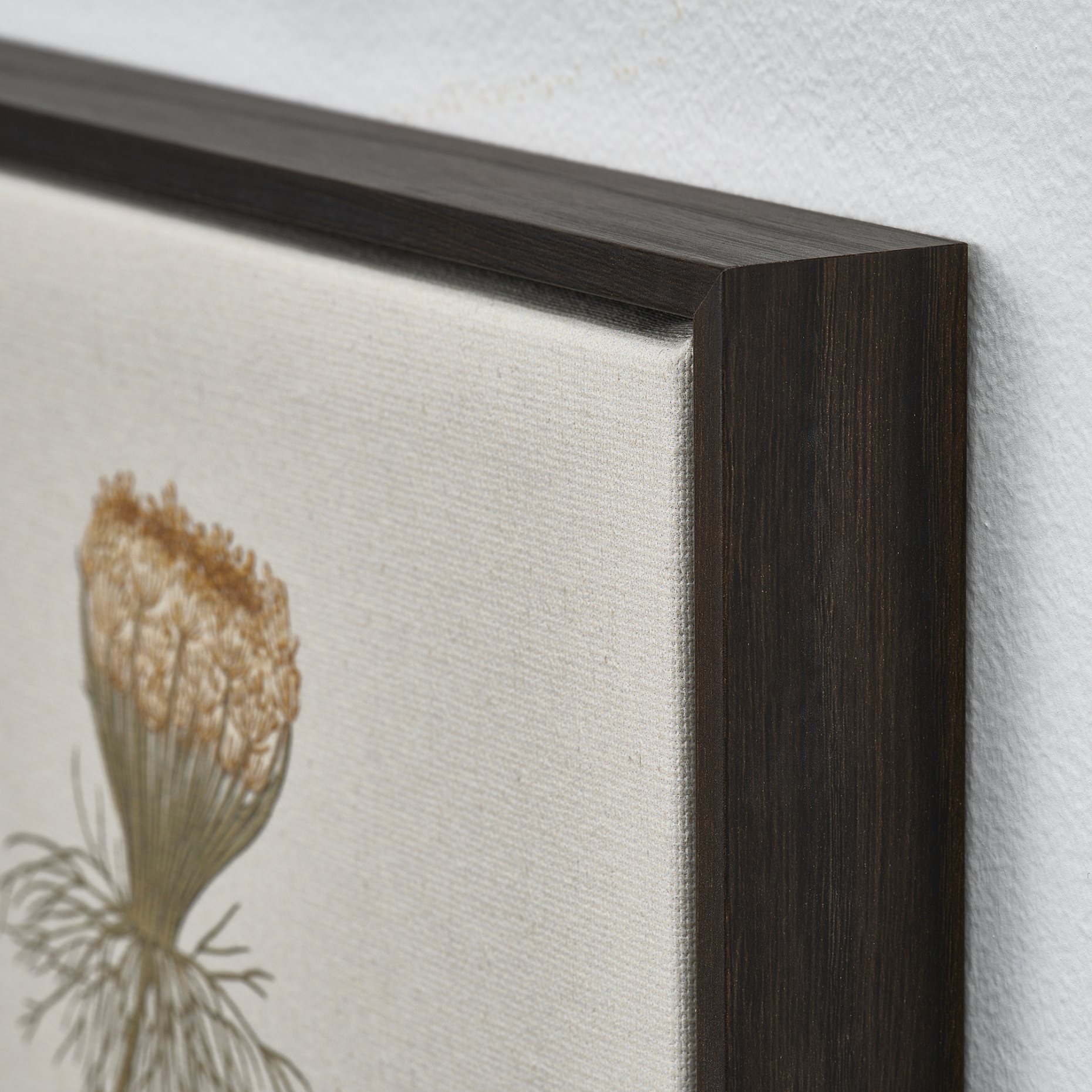 BLODFLÄDER, picture/floral simplicity/2 pack, 30x40 cm, 006.234.71