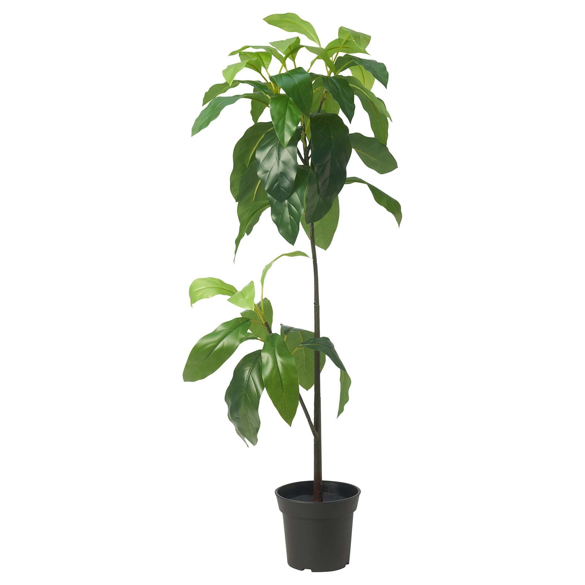 FEJKA, τεχνητό φυτό σε γλάστρα/εσωτερικού/εξωτερικού χώρου/Αβοκάντο, 15 cm, 105.716.93